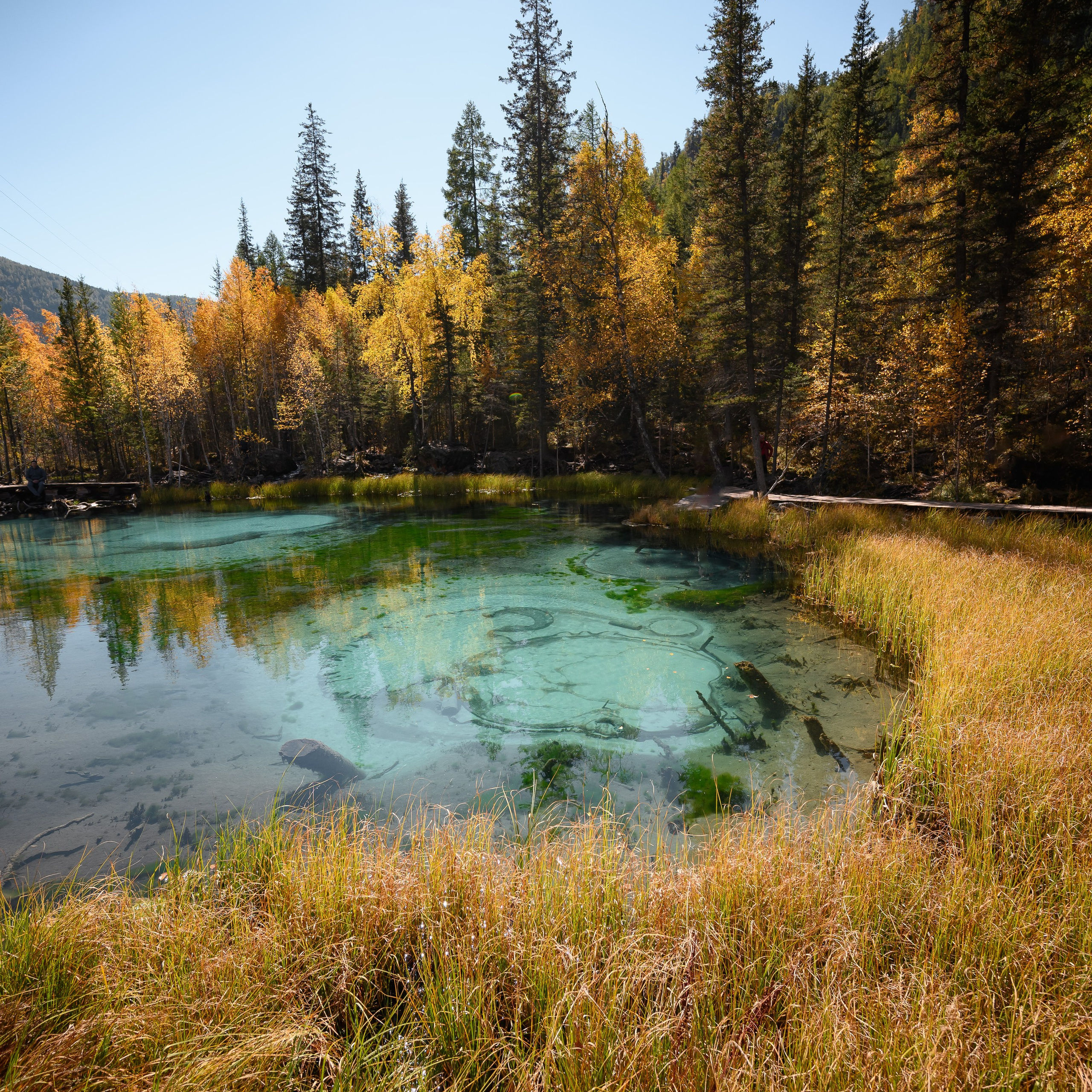 Горный Алтай. Антон Денисенко