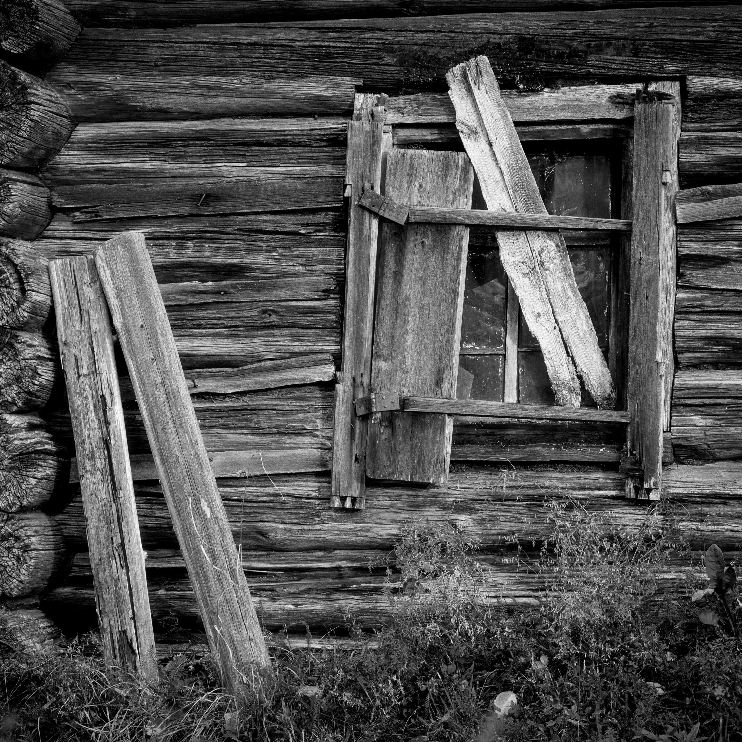 Деревня / Север I. Антон Денисенко