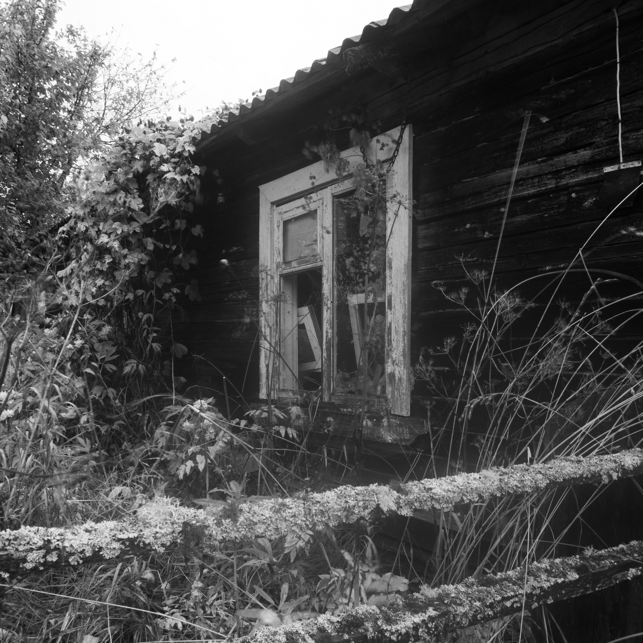 Деревня / Север II. Антон Денисенко