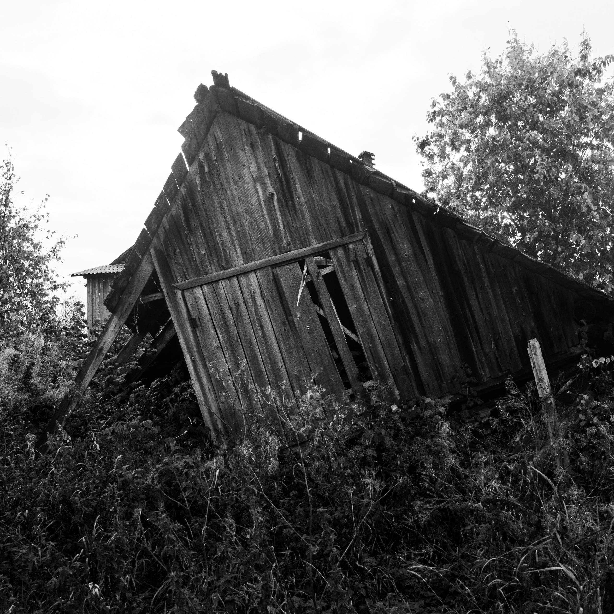 Деревня / Север II. Антон Денисенко