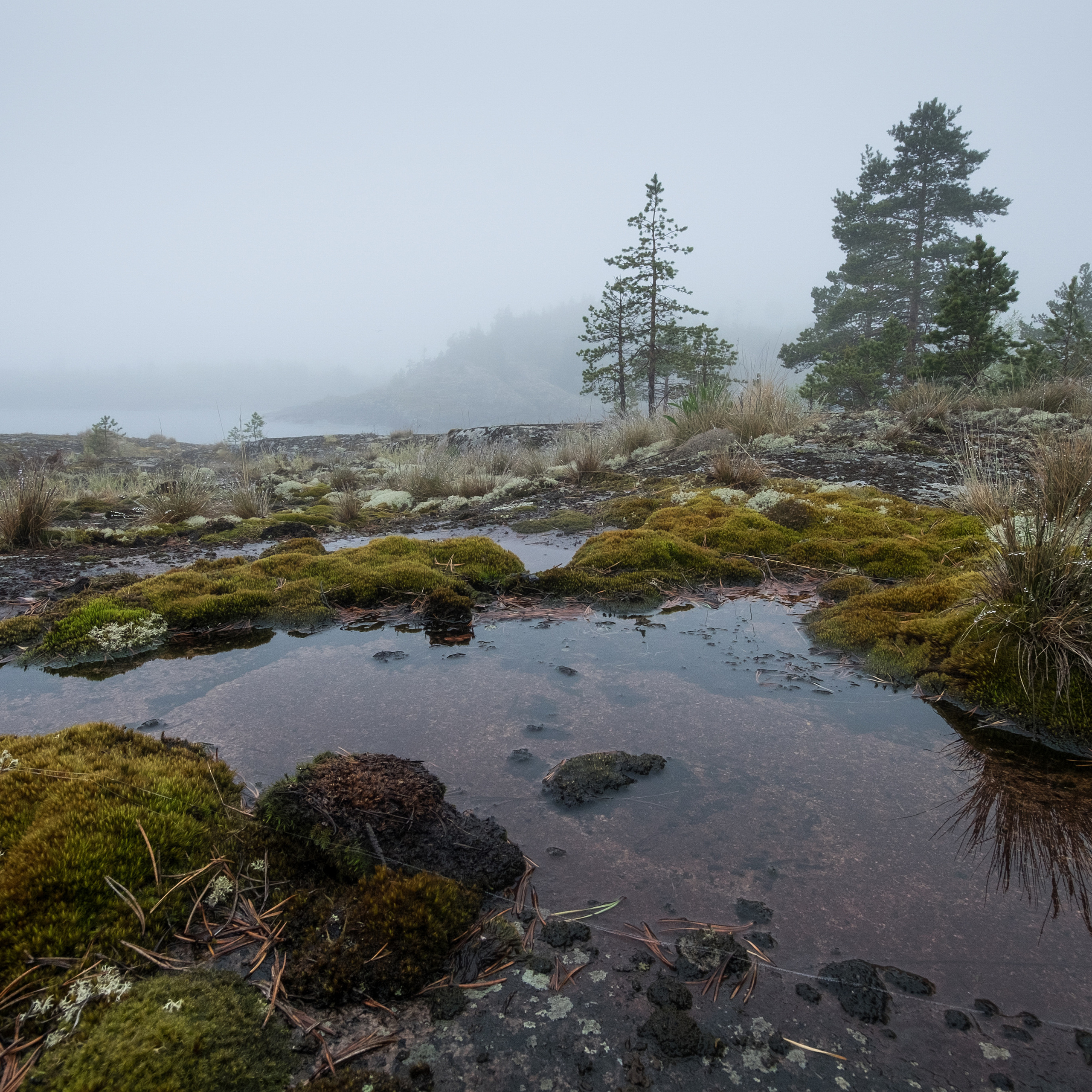 Карелия. Антон Денисенко