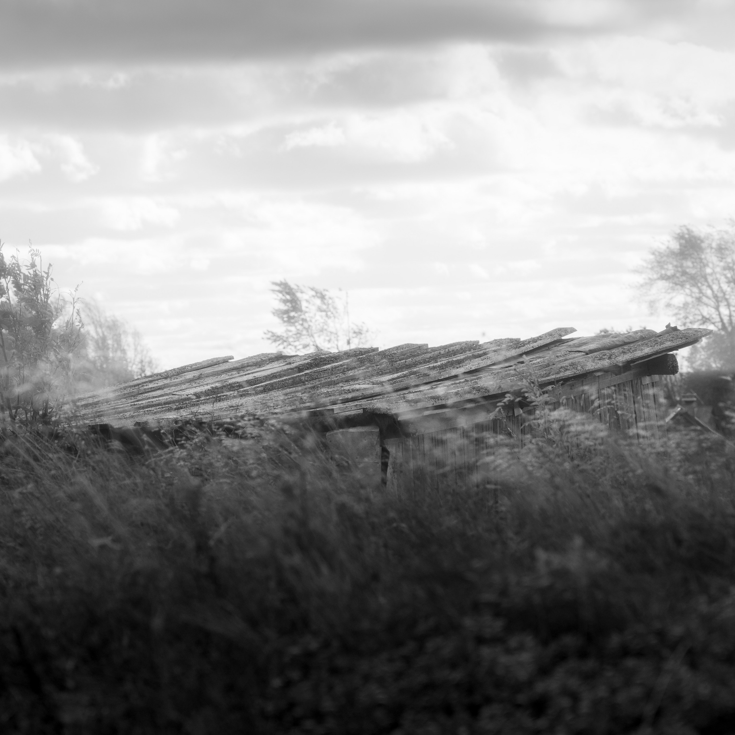 Деревня / Север I. Антон Денисенко