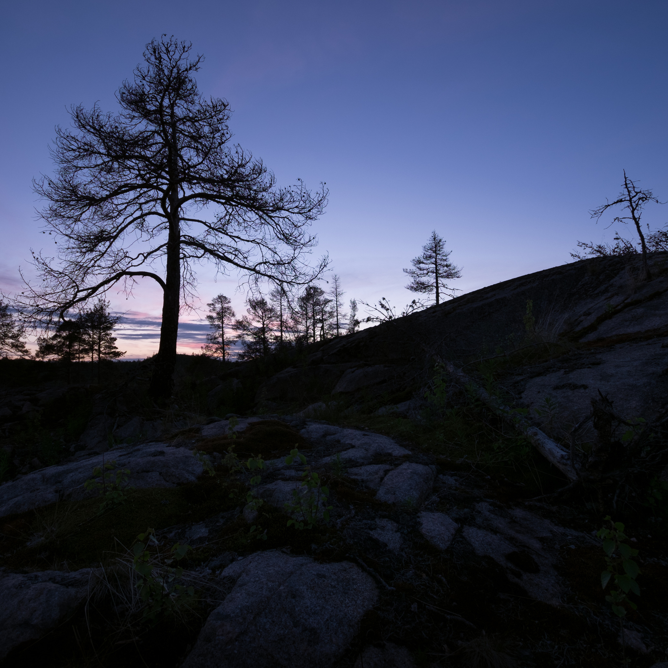 Карелия. Антон Денисенко