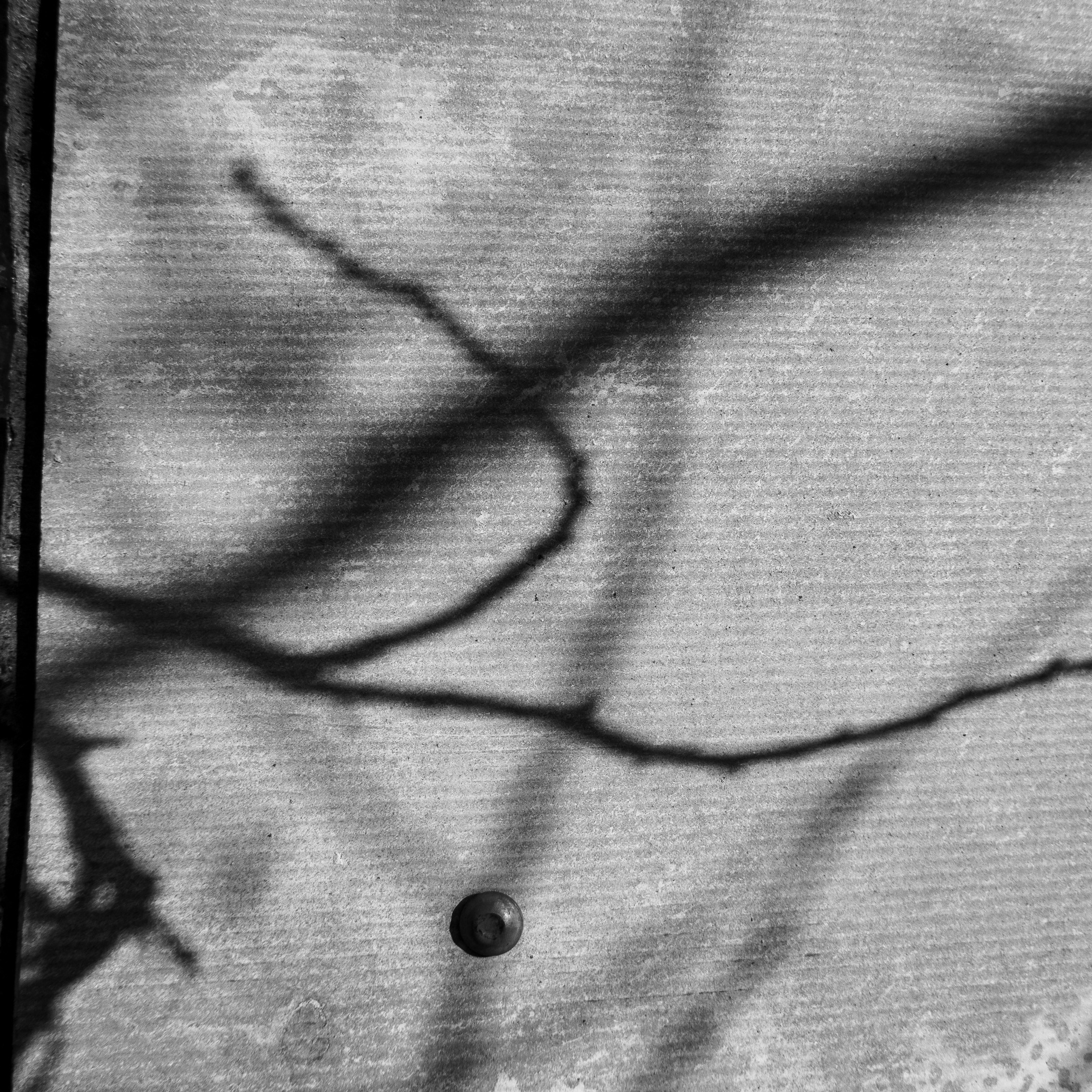 Деревня / Юг. Антон Денисенко