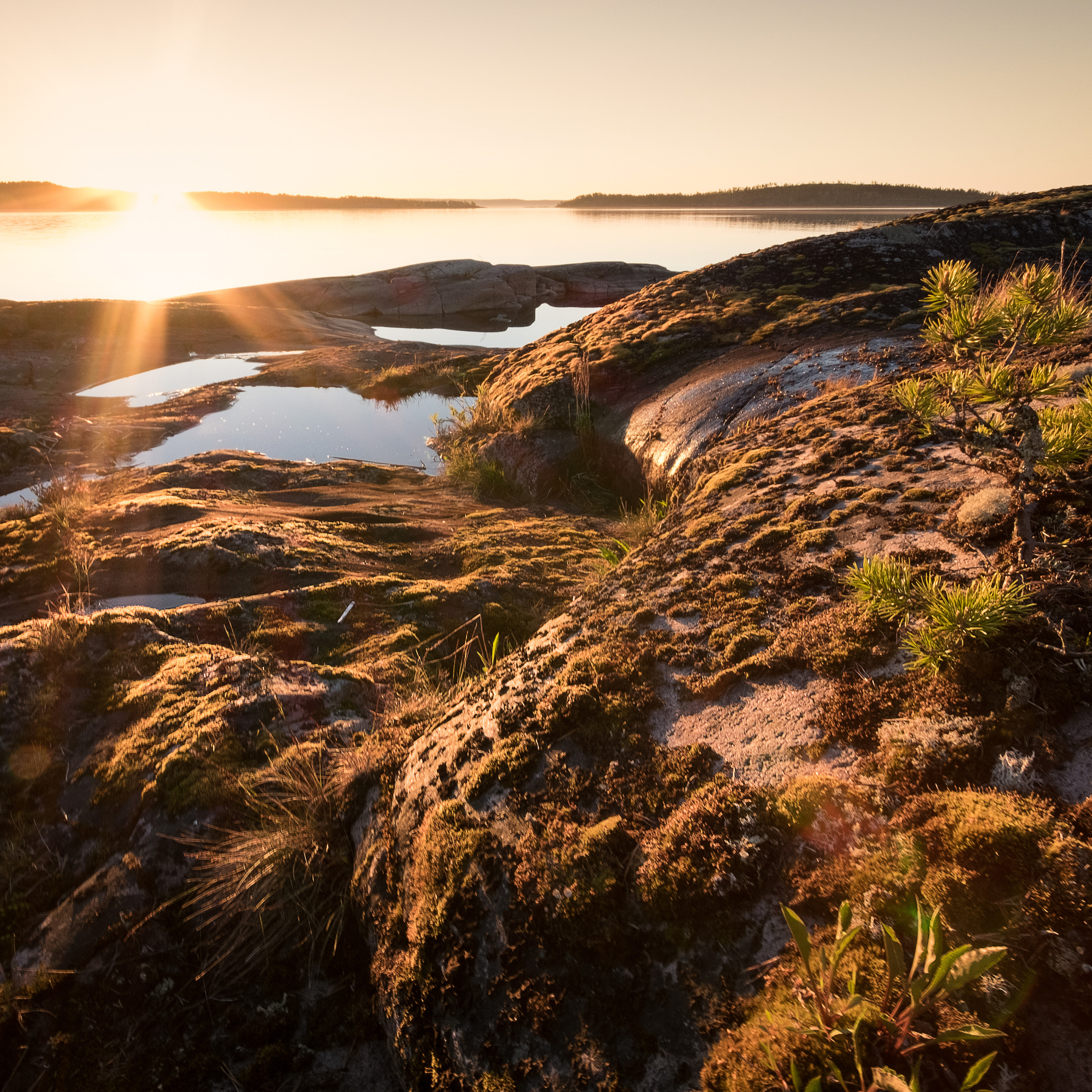 Карелия. Антон Денисенко