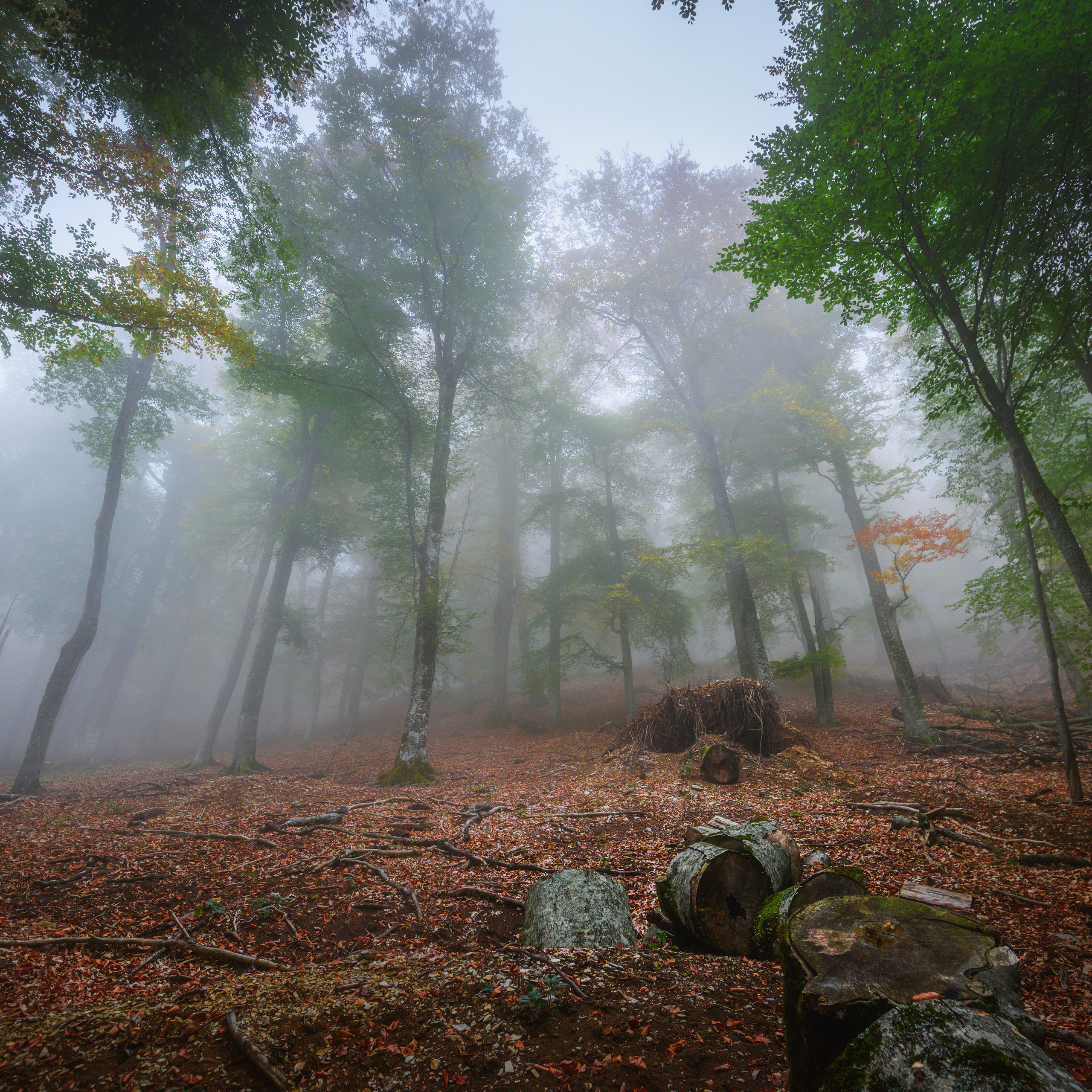 Крым. Антон Денисенко