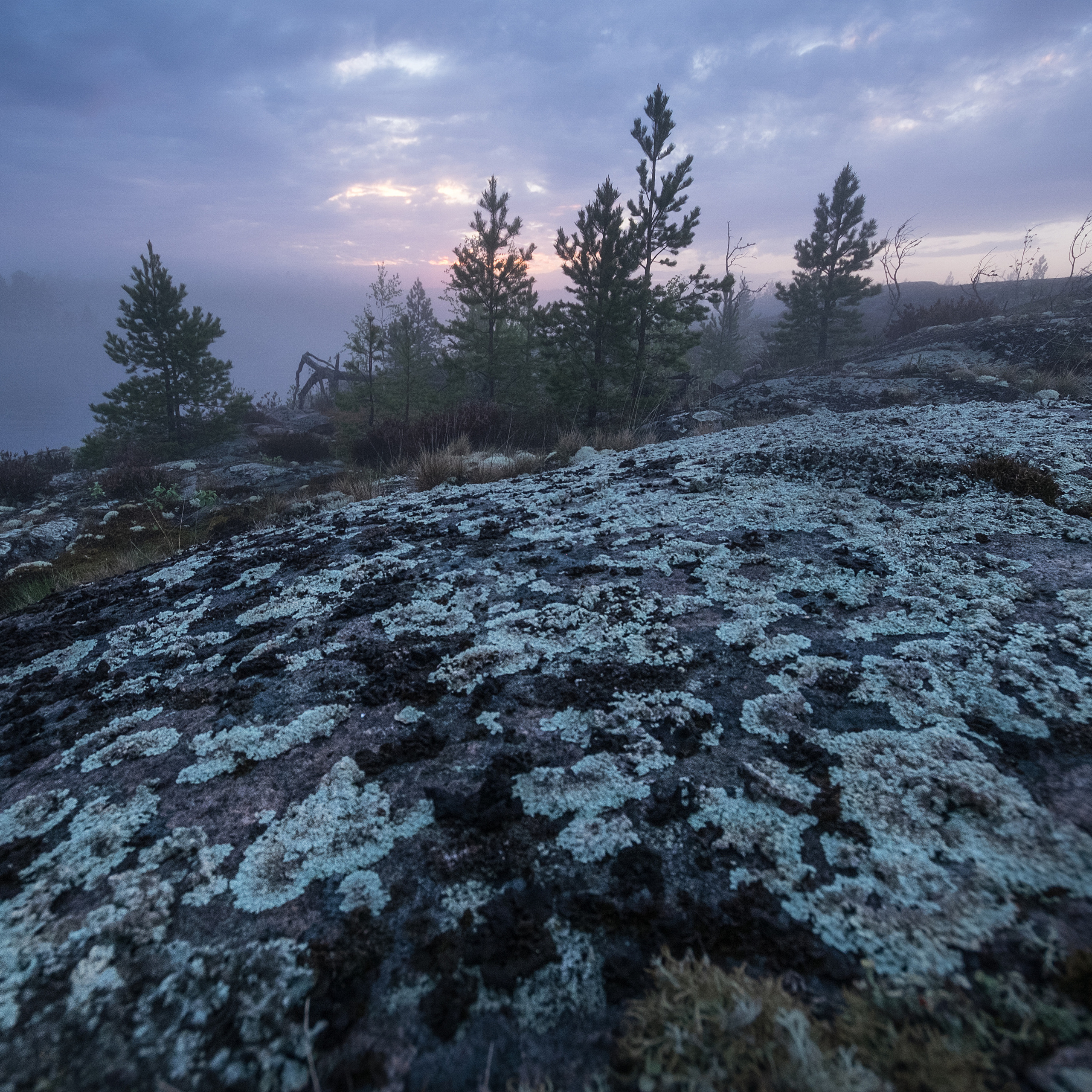 Карелия. Антон Денисенко