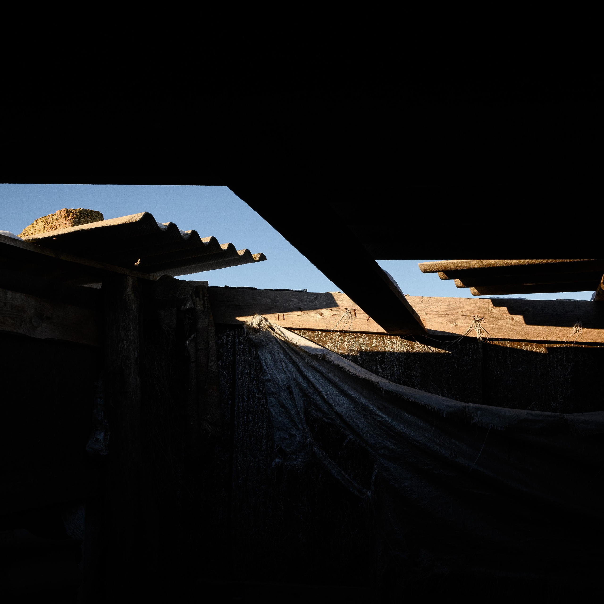 Увидеть свет. Антон Денисенко