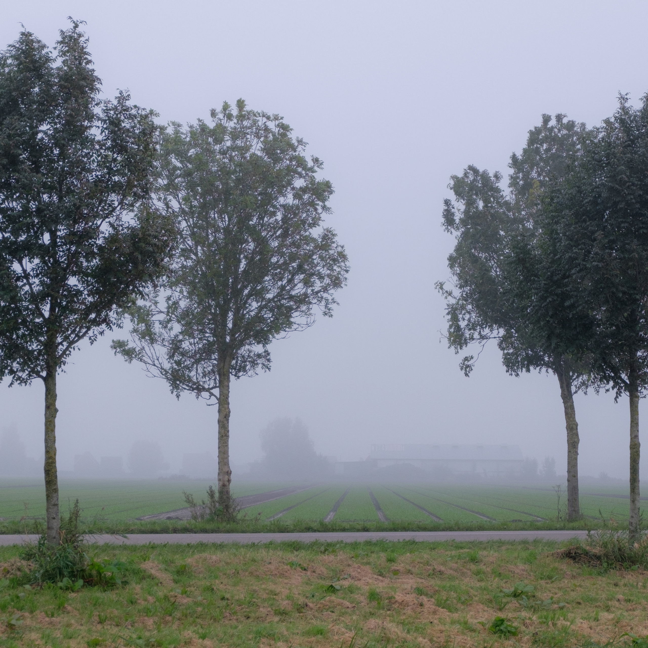 Амстердам I. Антон Денисенко