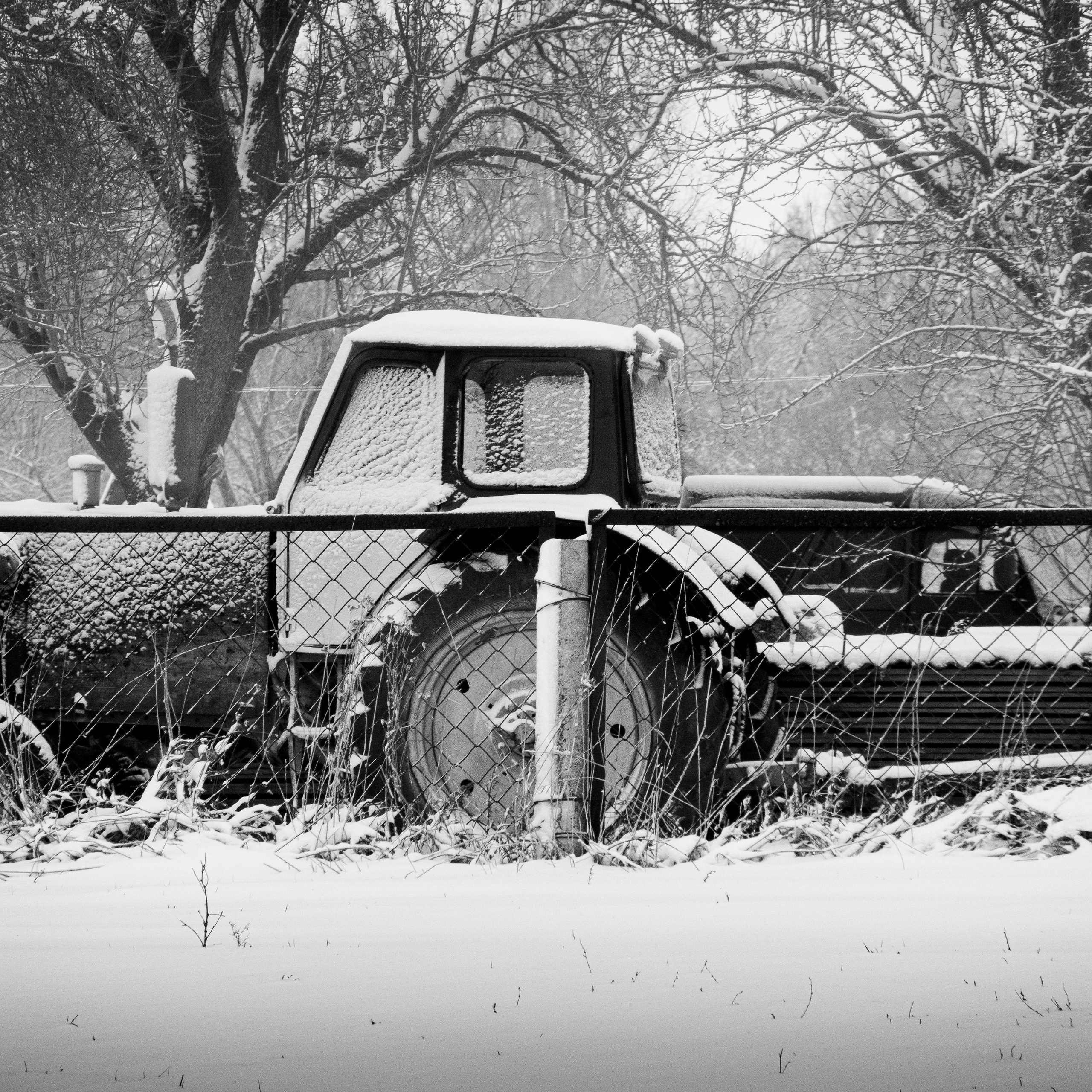 Деревня / Ферма. Антон Денисенко