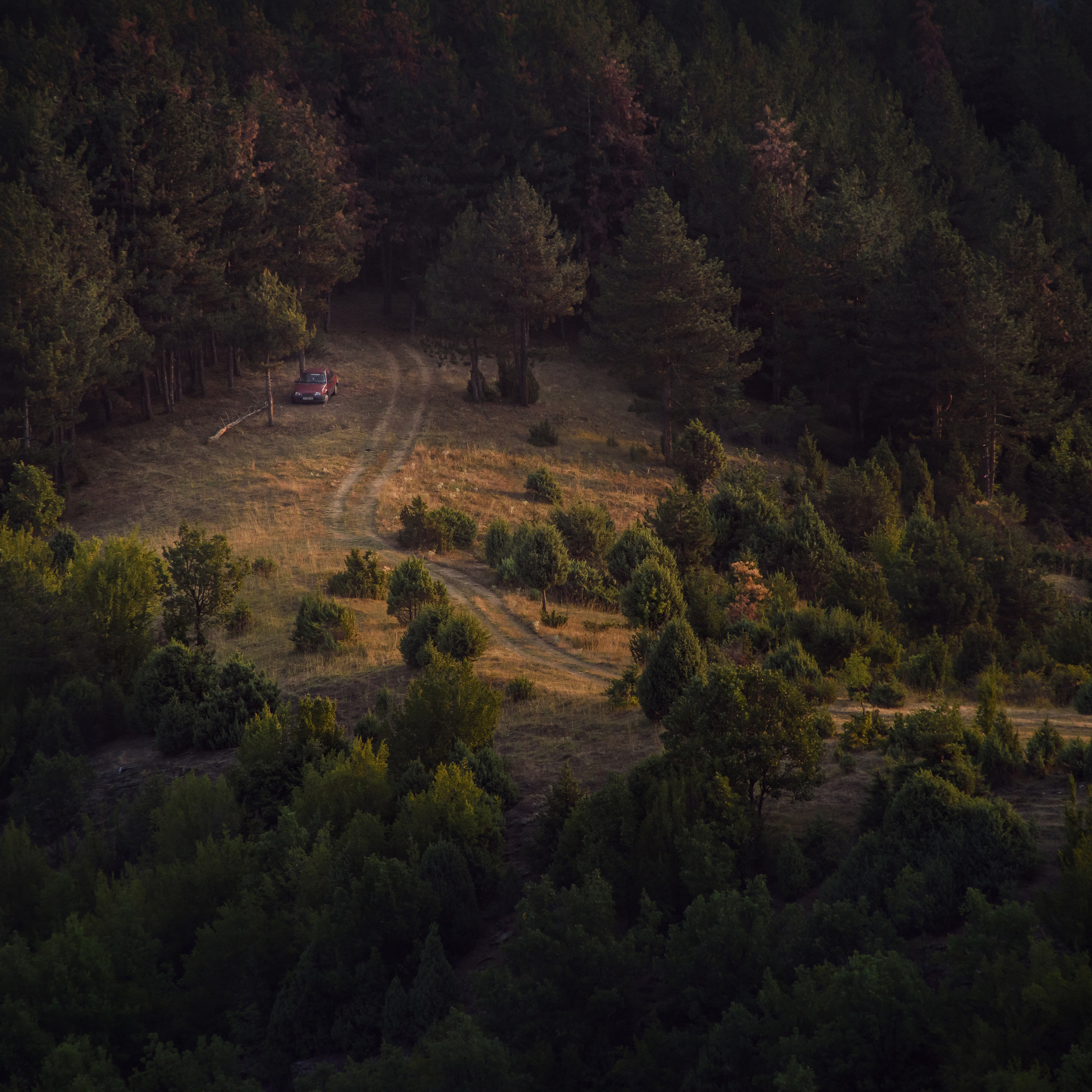 Болгария. Антон Денисенко