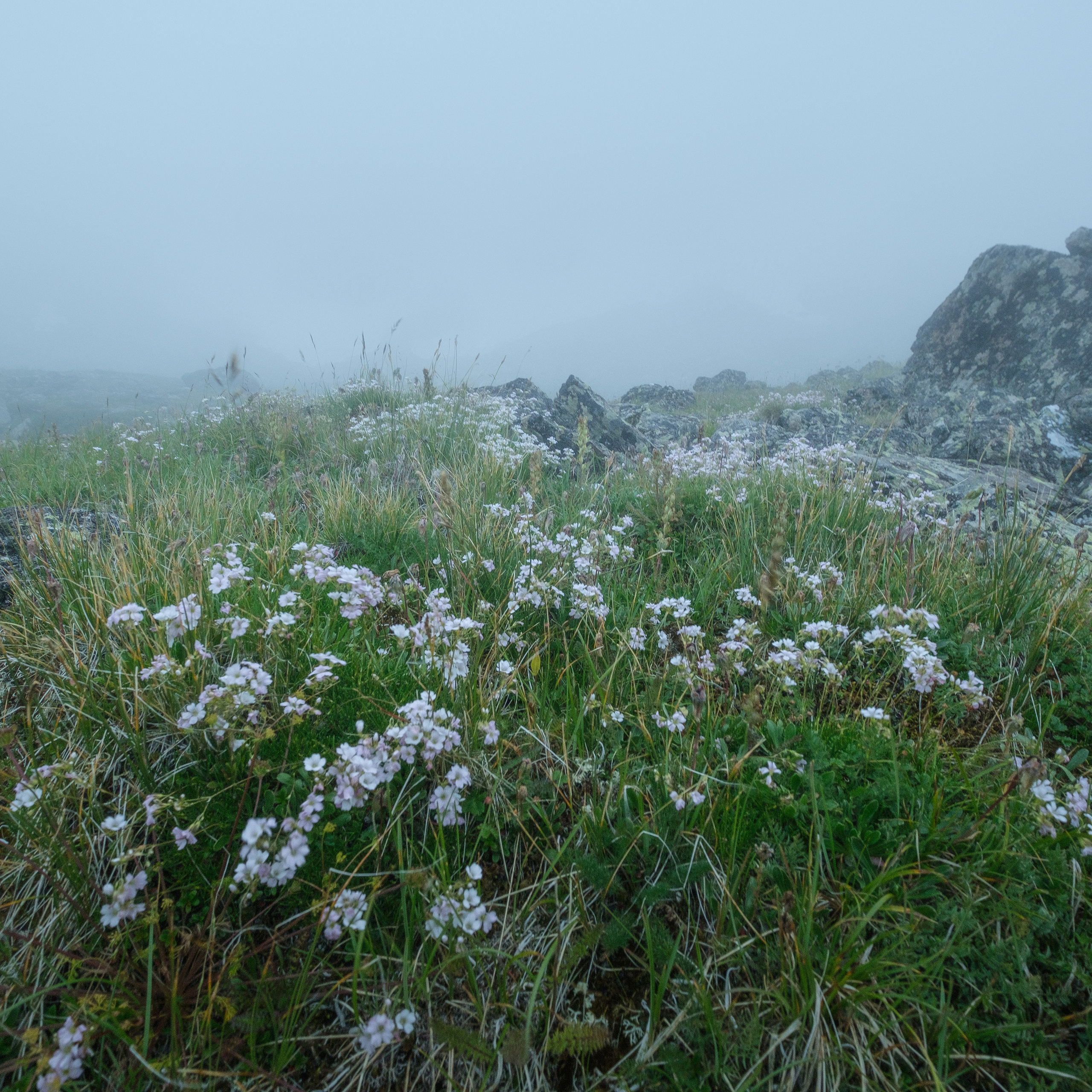 Архыз. Имеретинские озера. Антон Денисенко