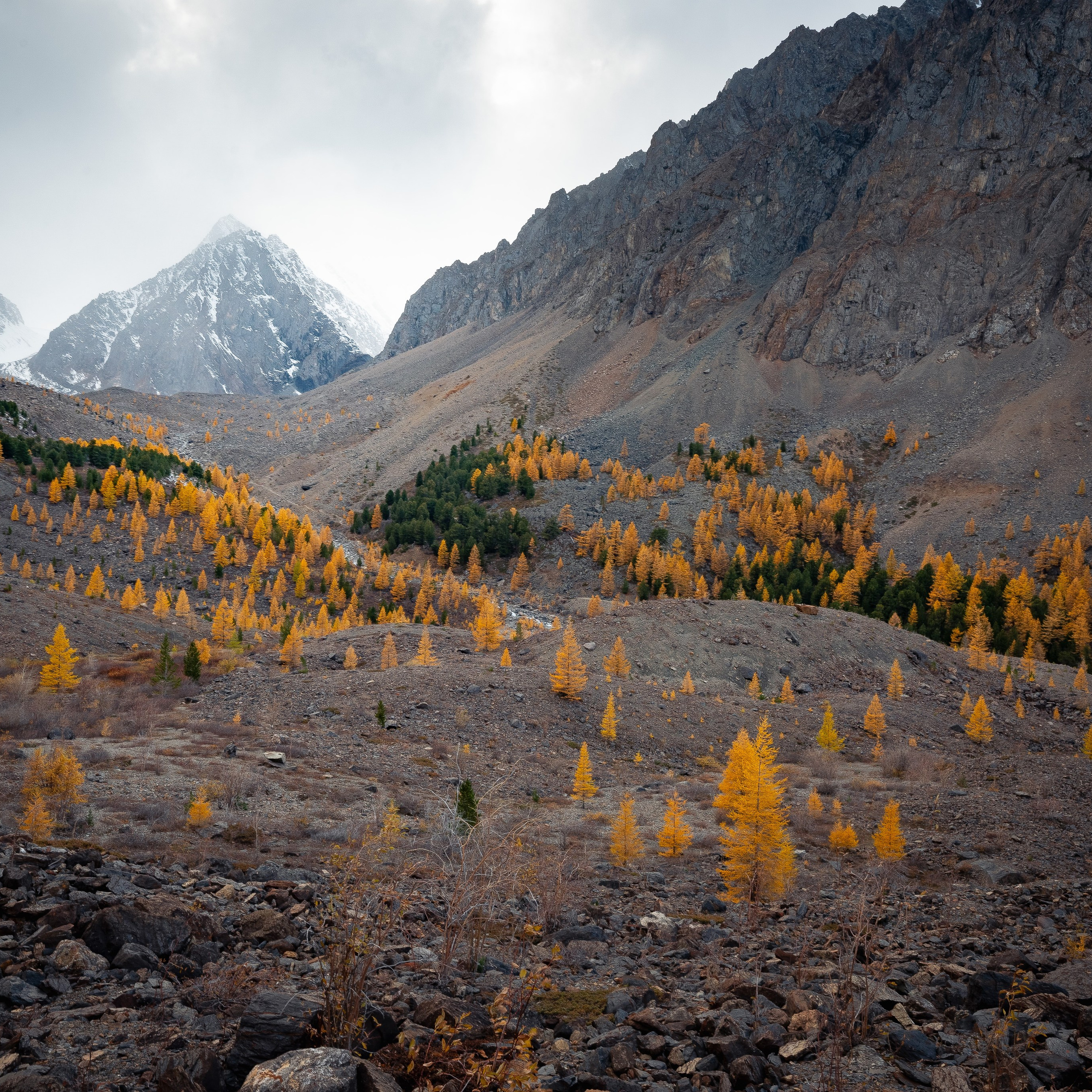 Горный Алтай. Антон Денисенко