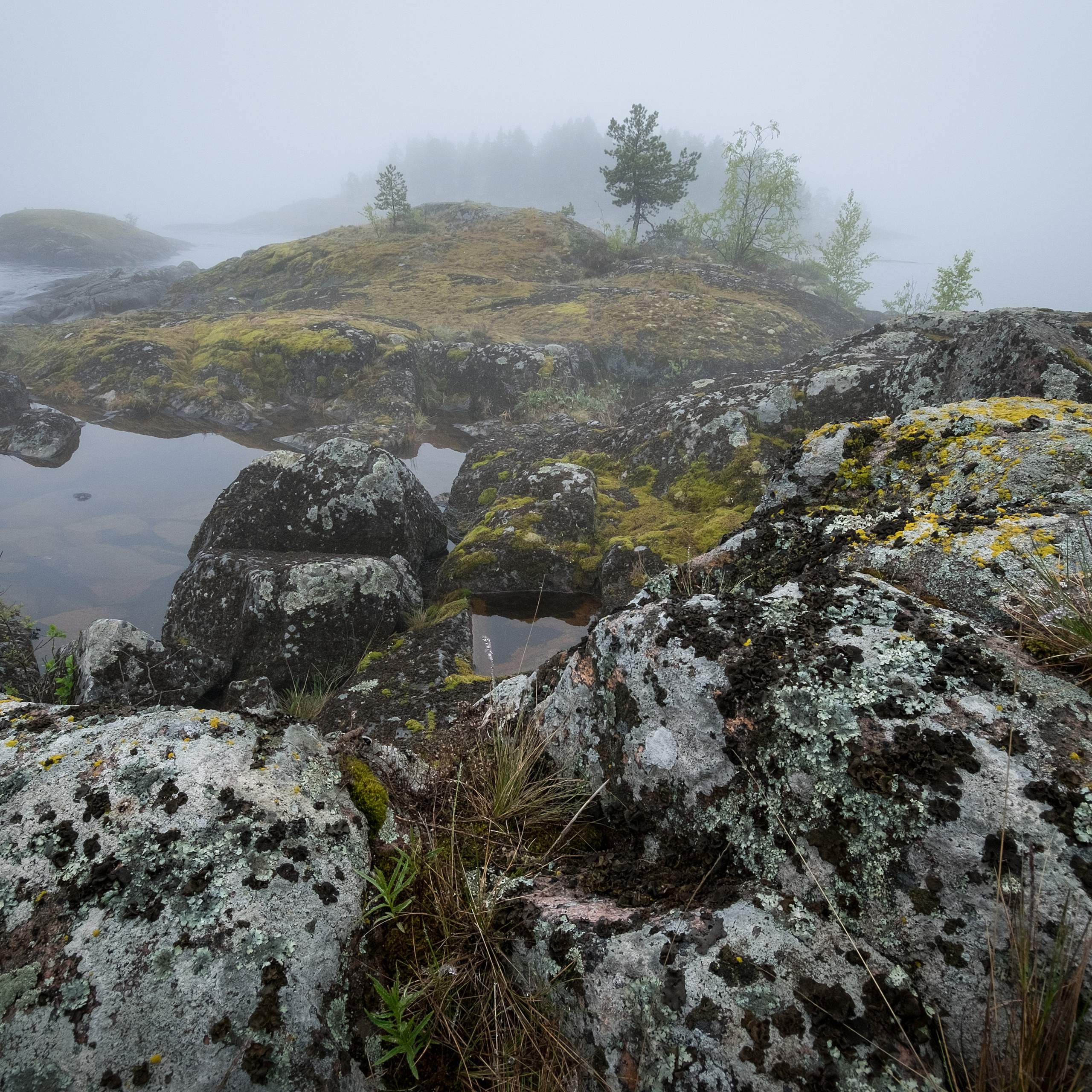 Карелия. Антон Денисенко