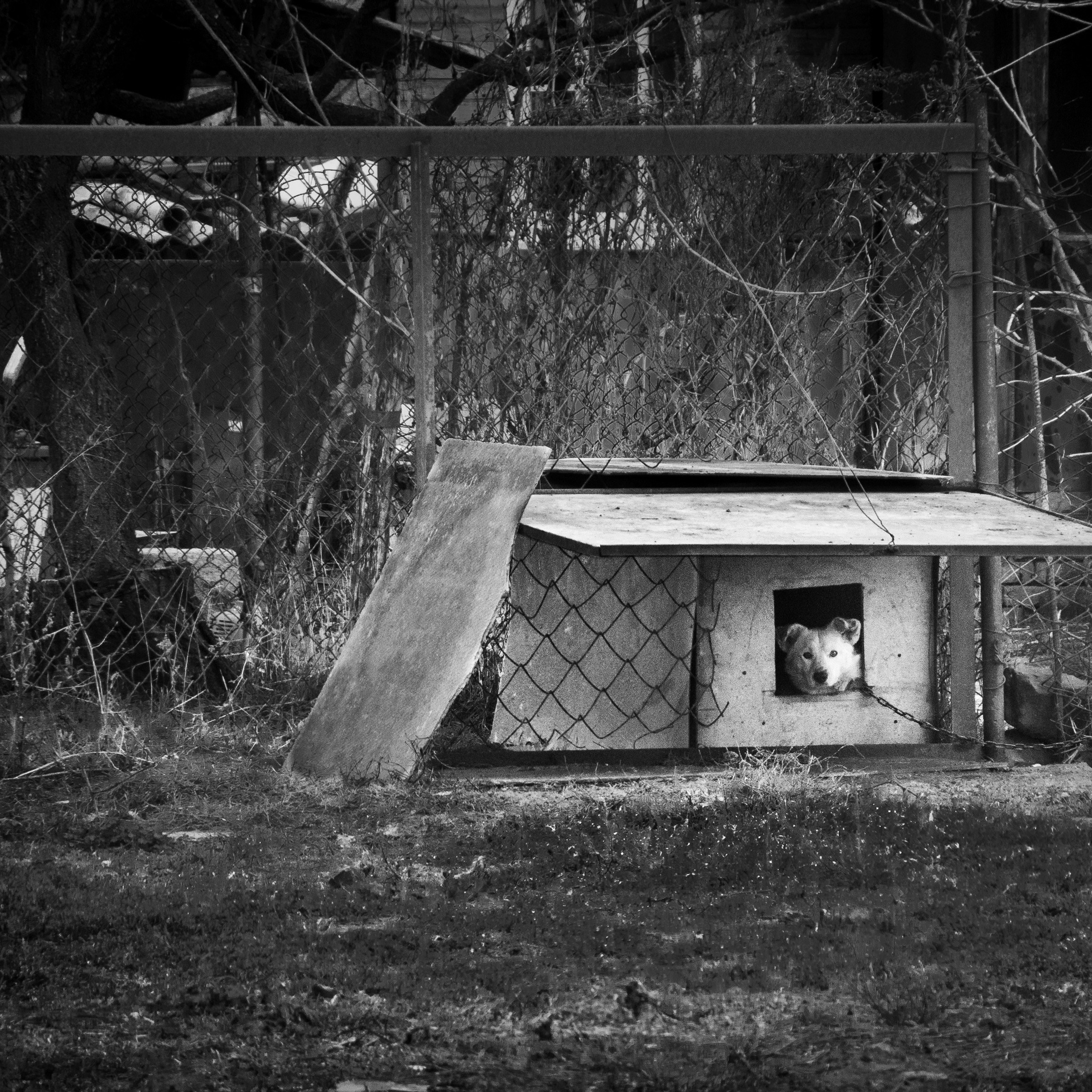 Деревня / Юг. Антон Денисенко