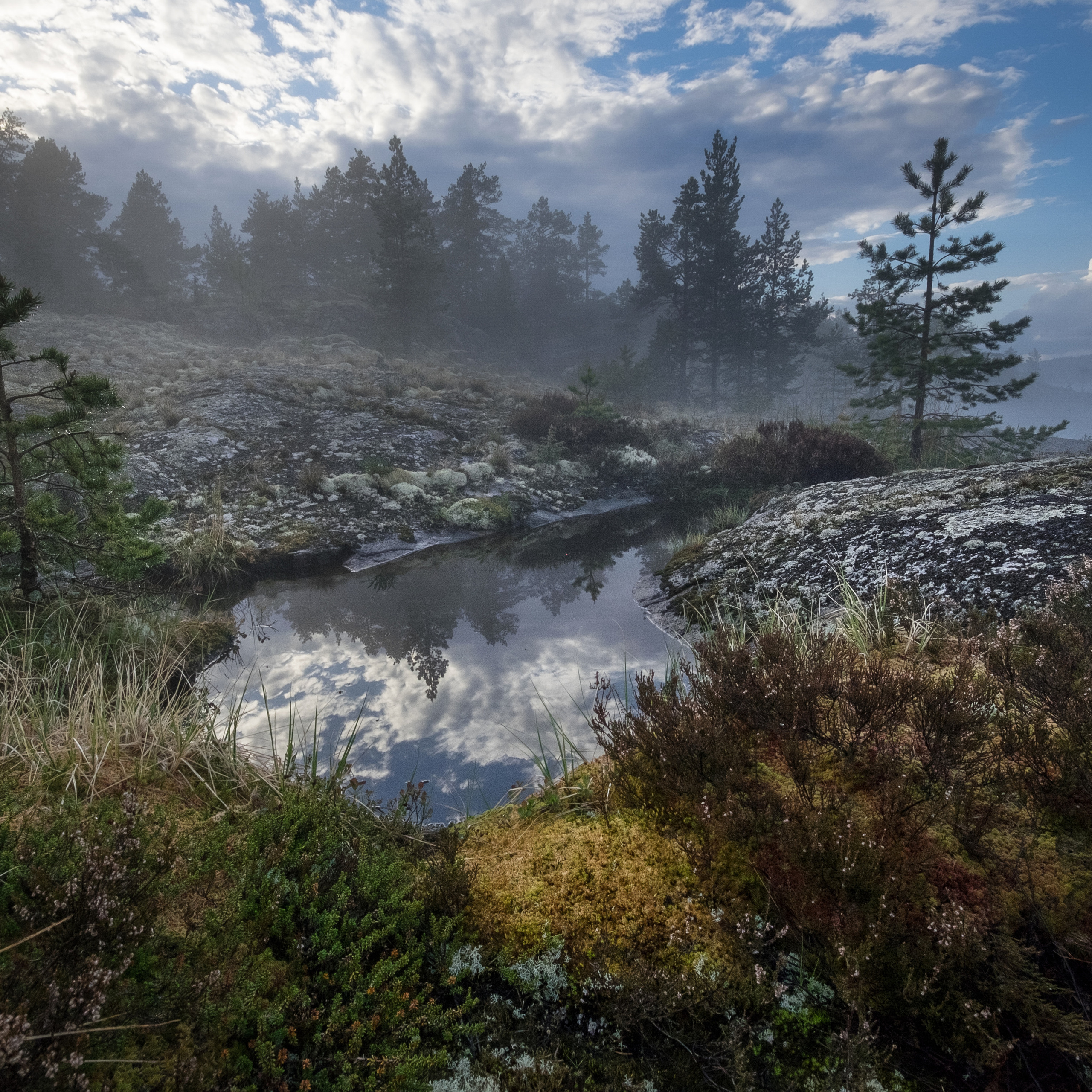 Карелия. Антон Денисенко