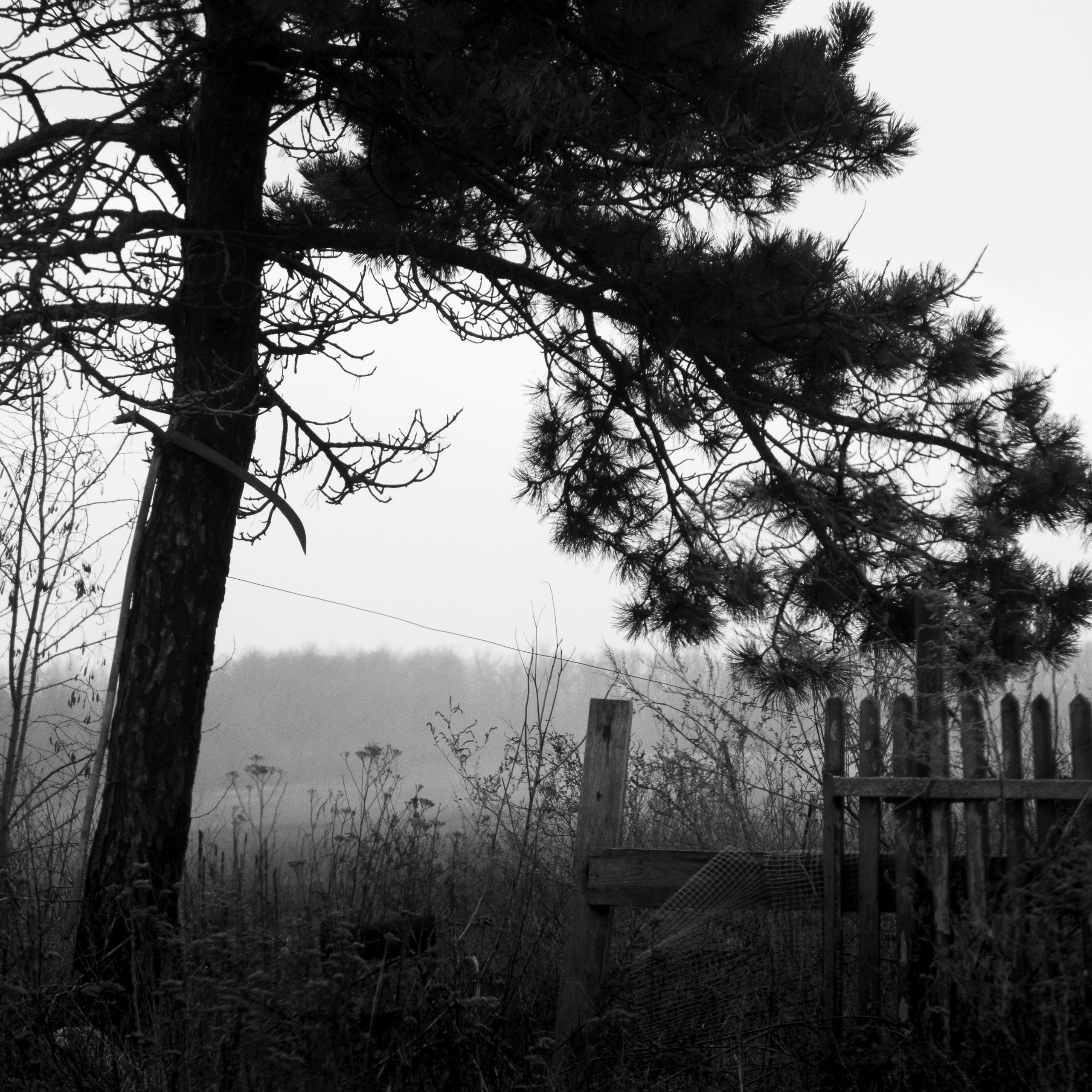 Деревня / Юг. Антон Денисенко