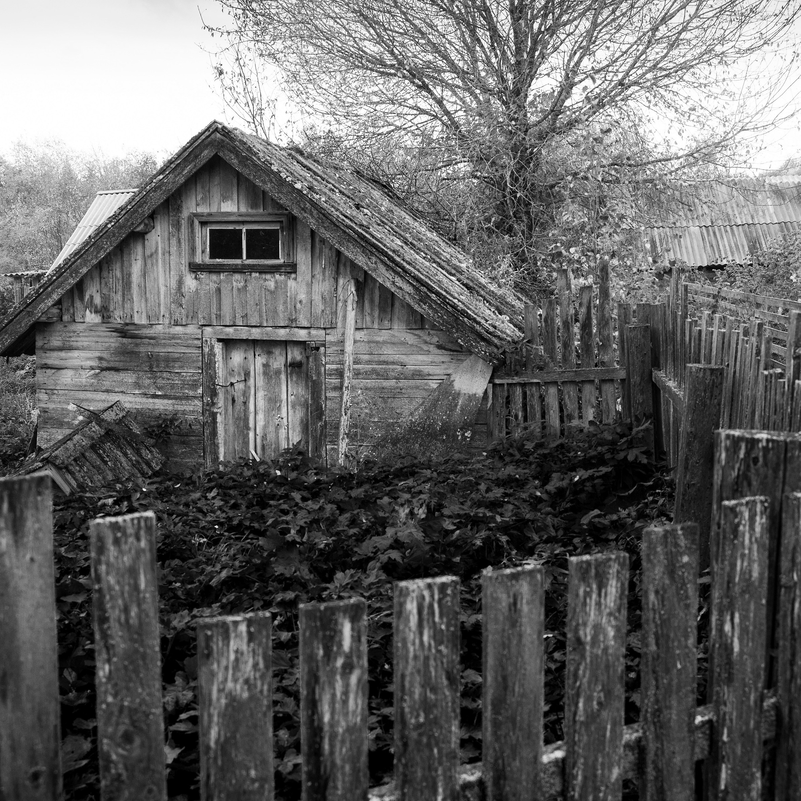 Деревня / Север I. Антон Денисенко