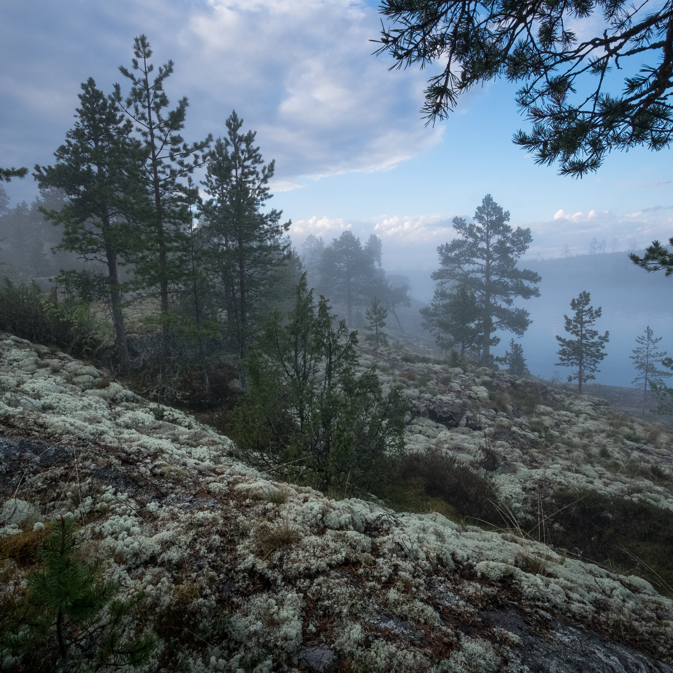 Карелия. Антон Денисенко