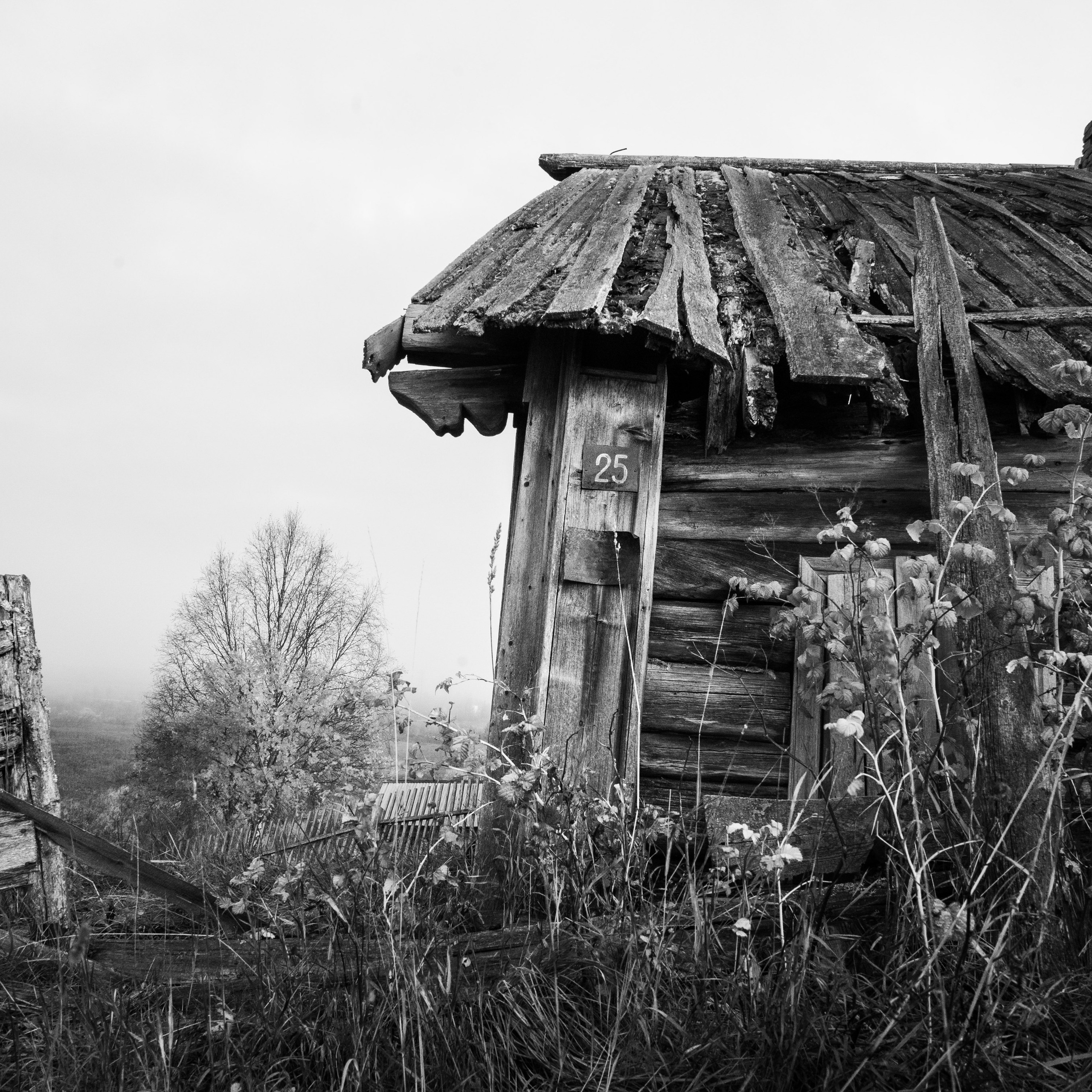 Деревня / Север II. Антон Денисенко