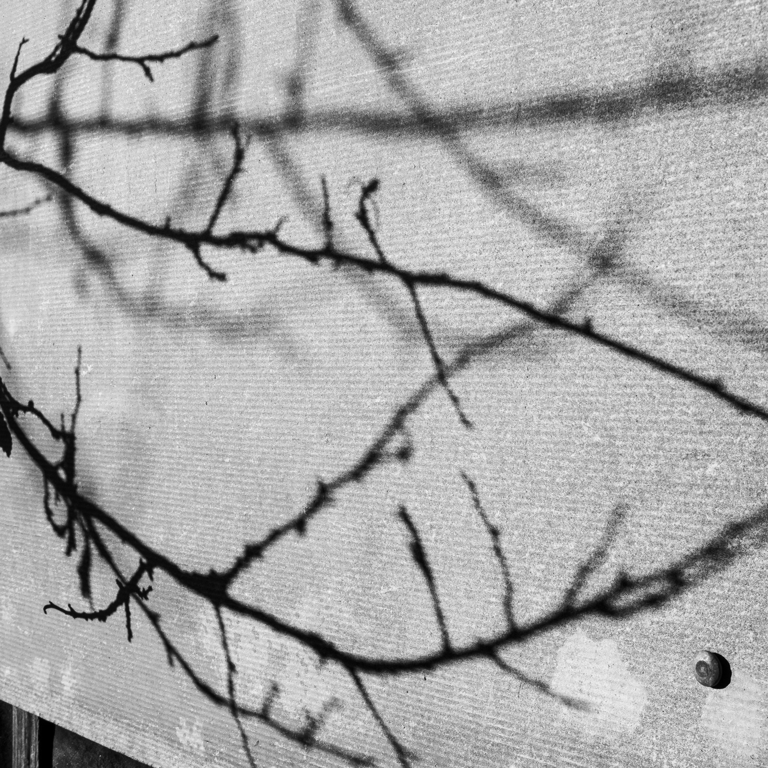 Деревня / Юг. Антон Денисенко