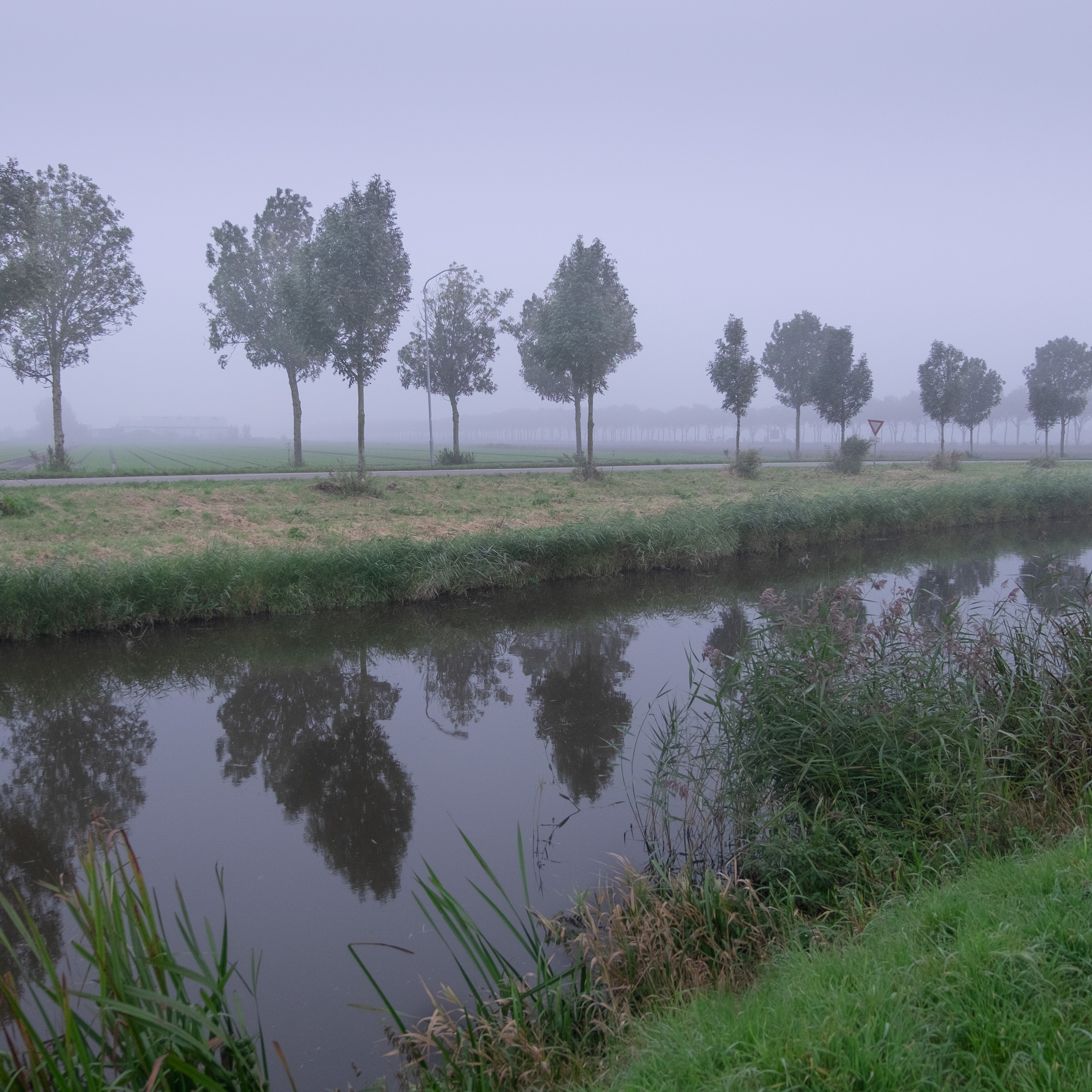 Амстердам I. Антон Денисенко