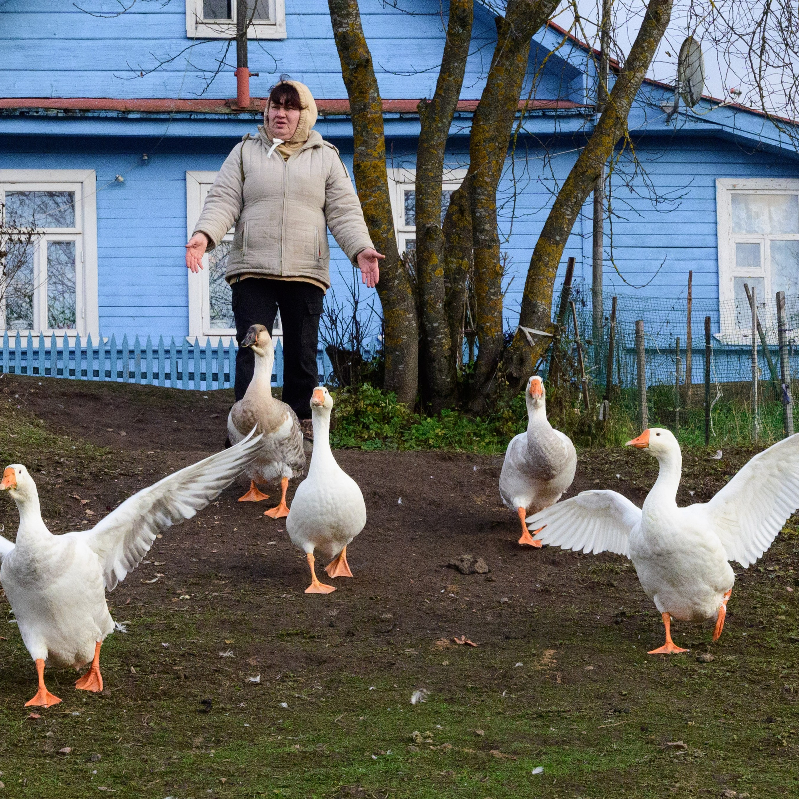 Торжок. Портрет горожанина