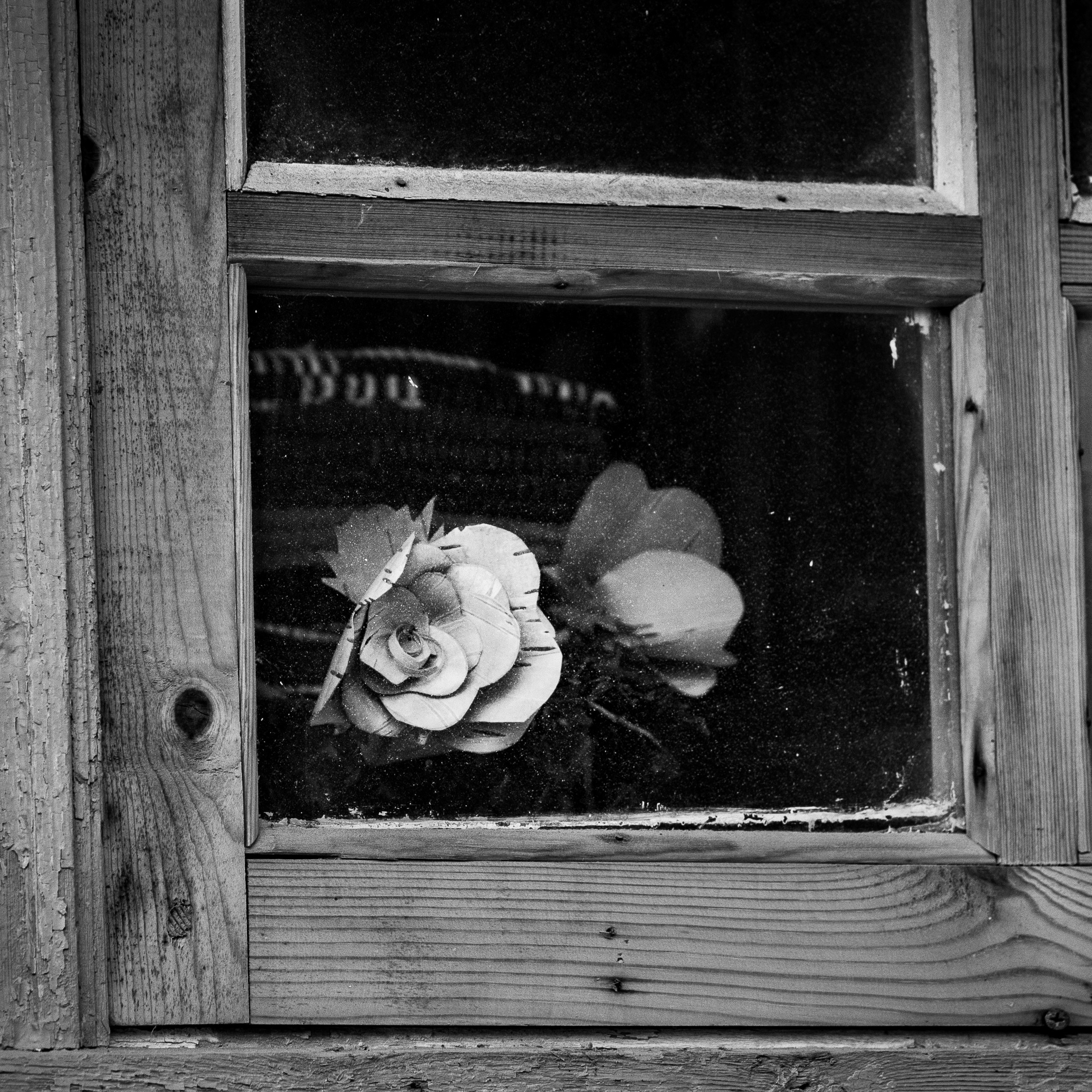 Деревня / Север I. Антон Денисенко