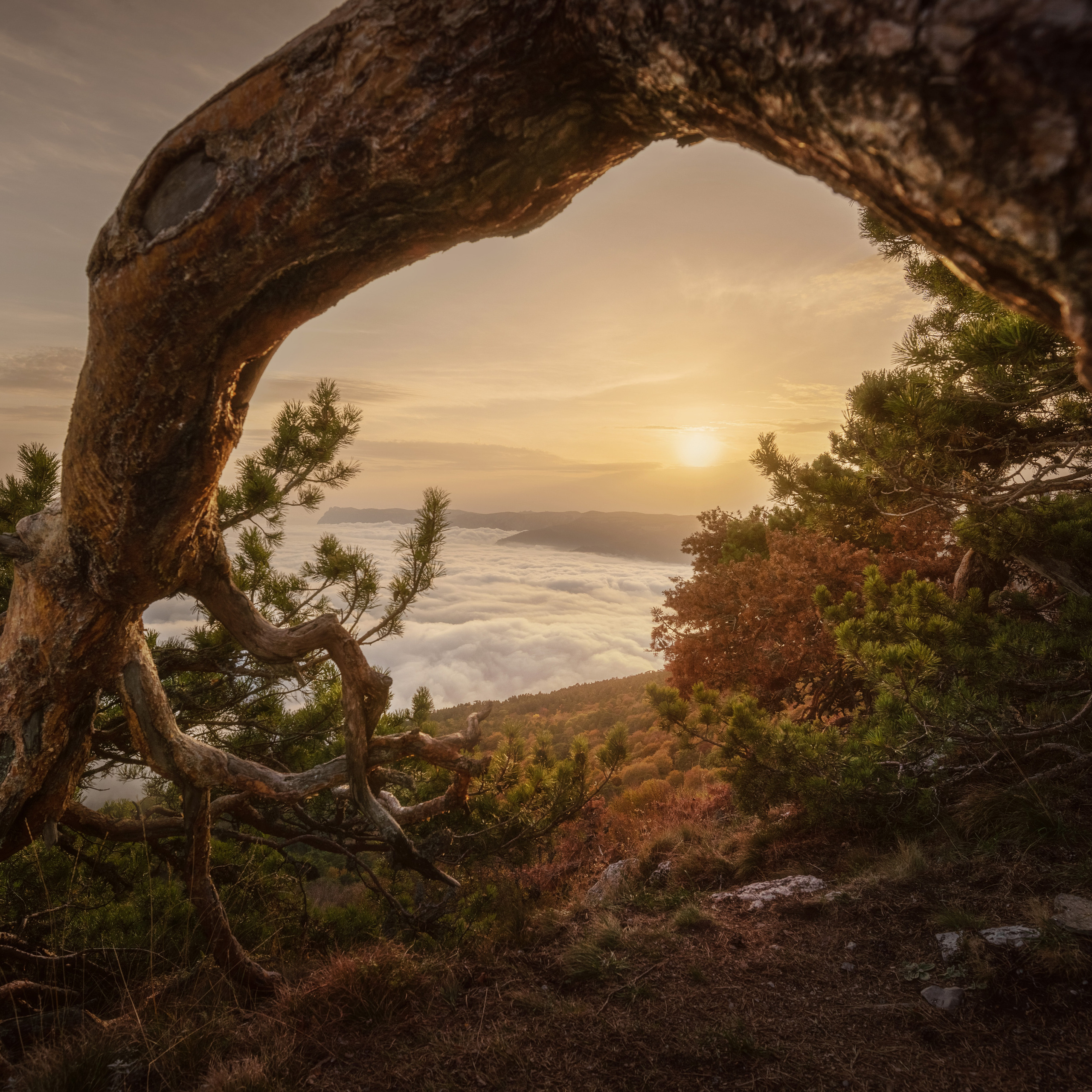 Крым. Антон Денисенко