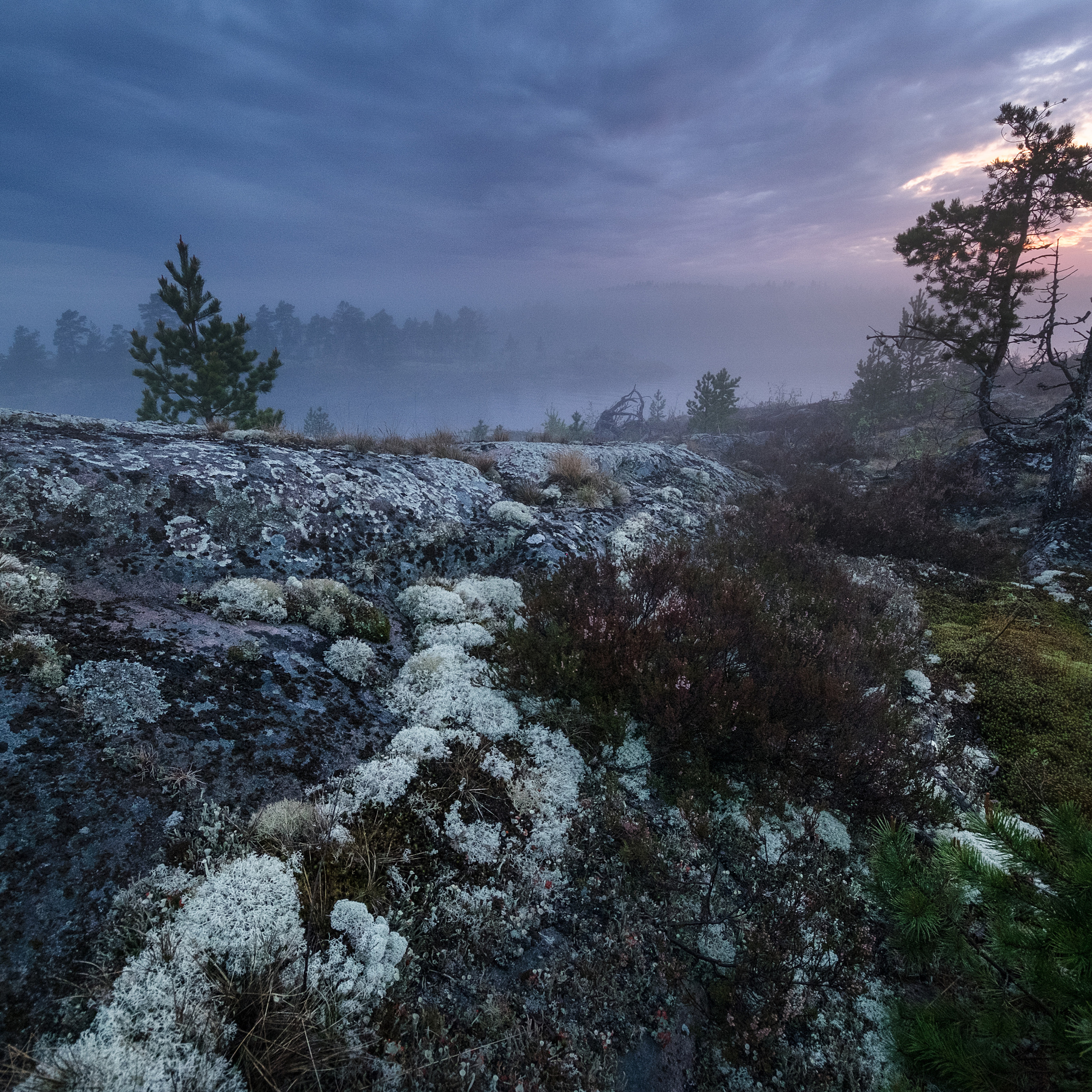Карелия. Антон Денисенко