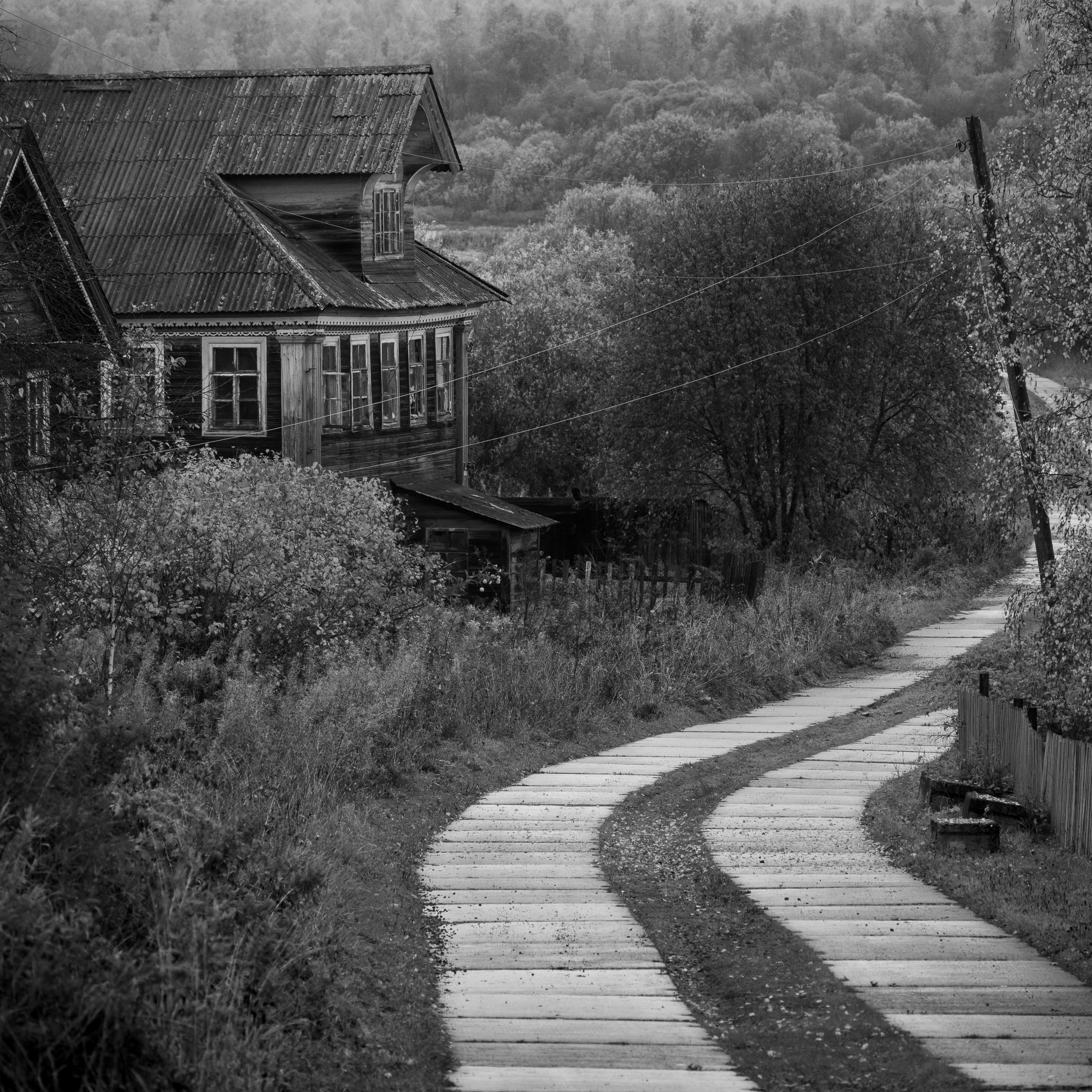 Деревня / Север II. Антон Денисенко