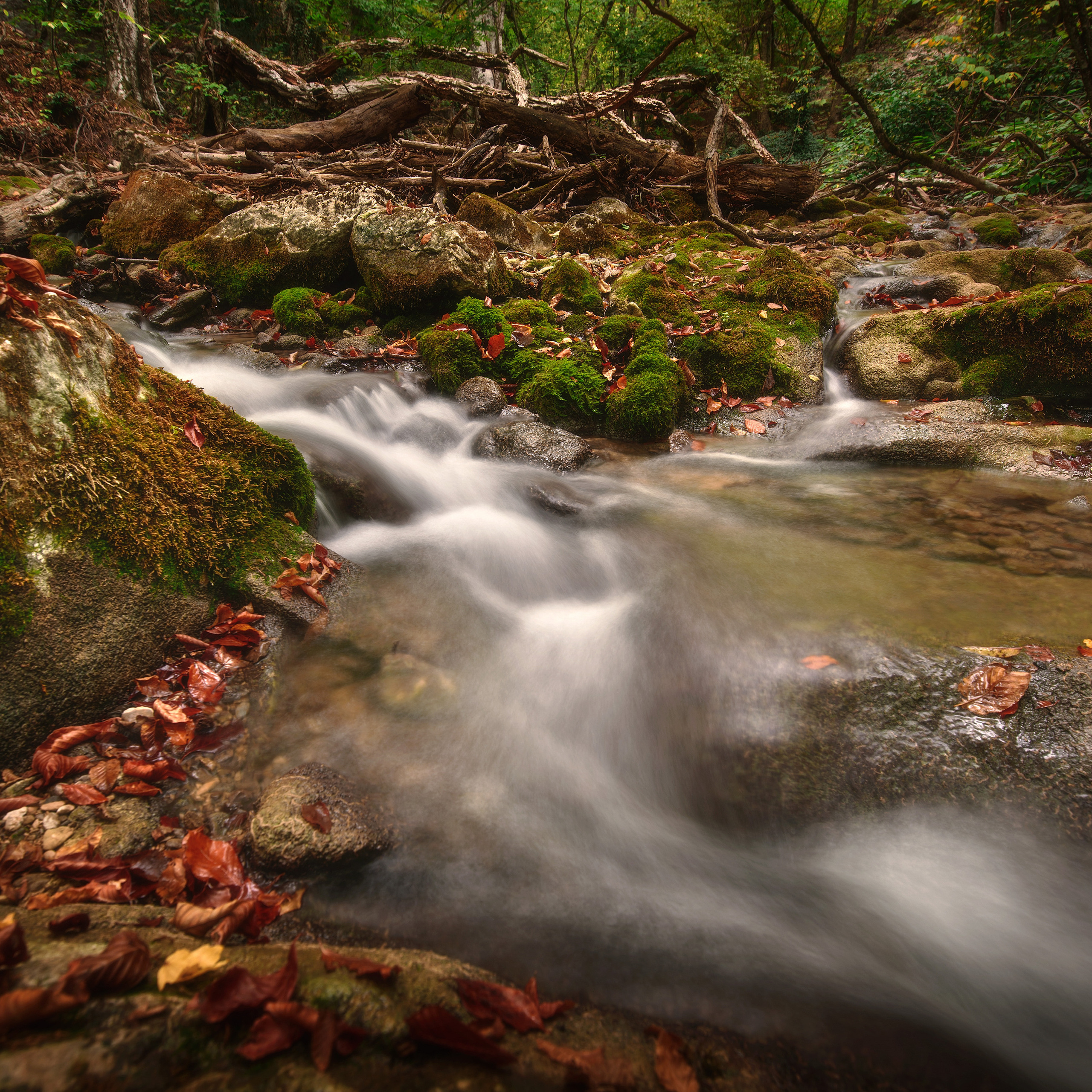 Крым. Антон Денисенко