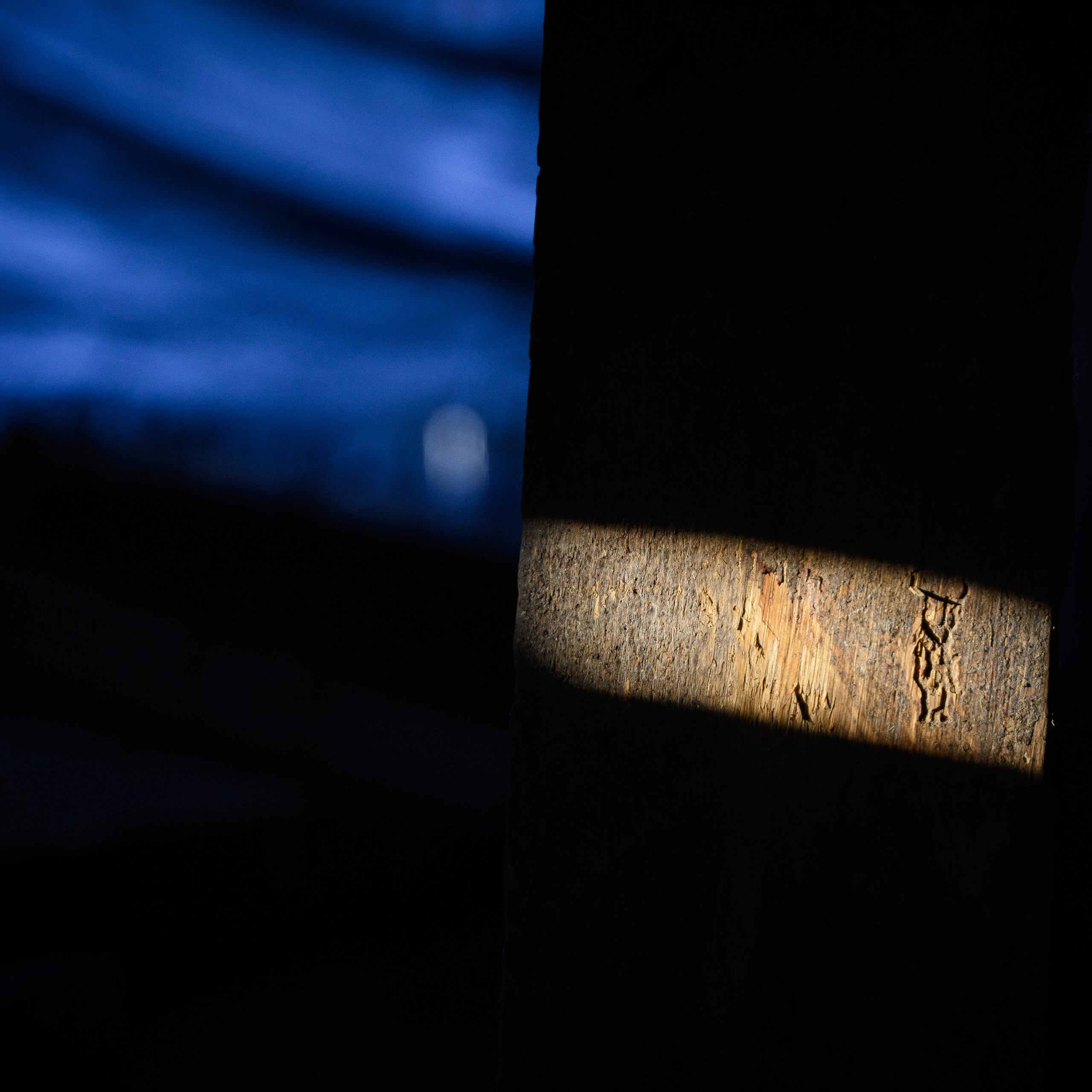 Увидеть свет. Антон Денисенко