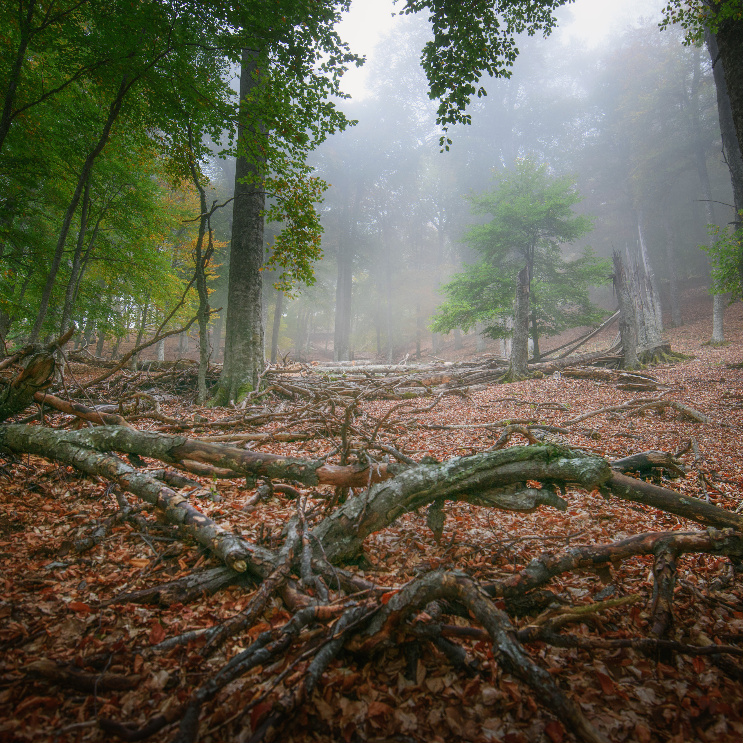 Крым. Антон Денисенко