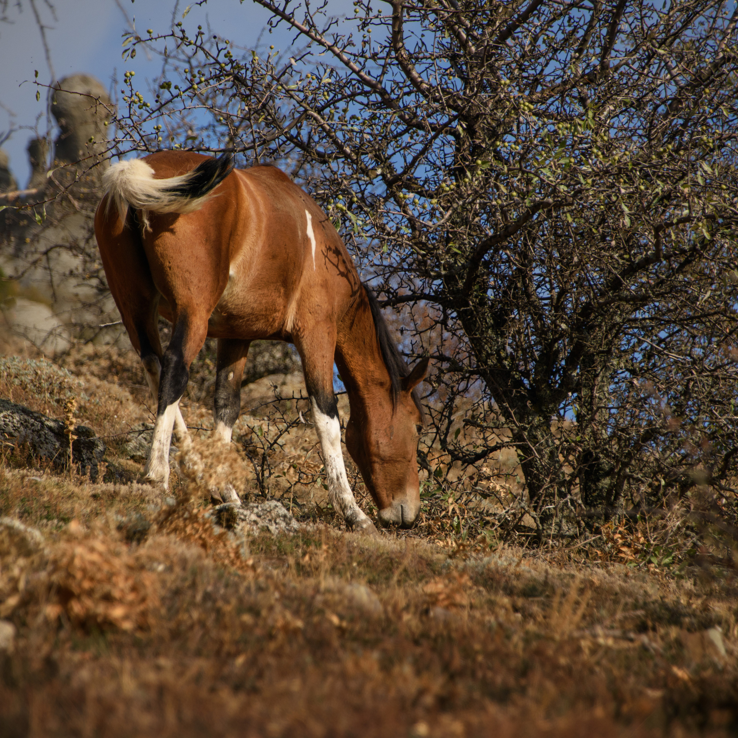 Крым. Антон Денисенко