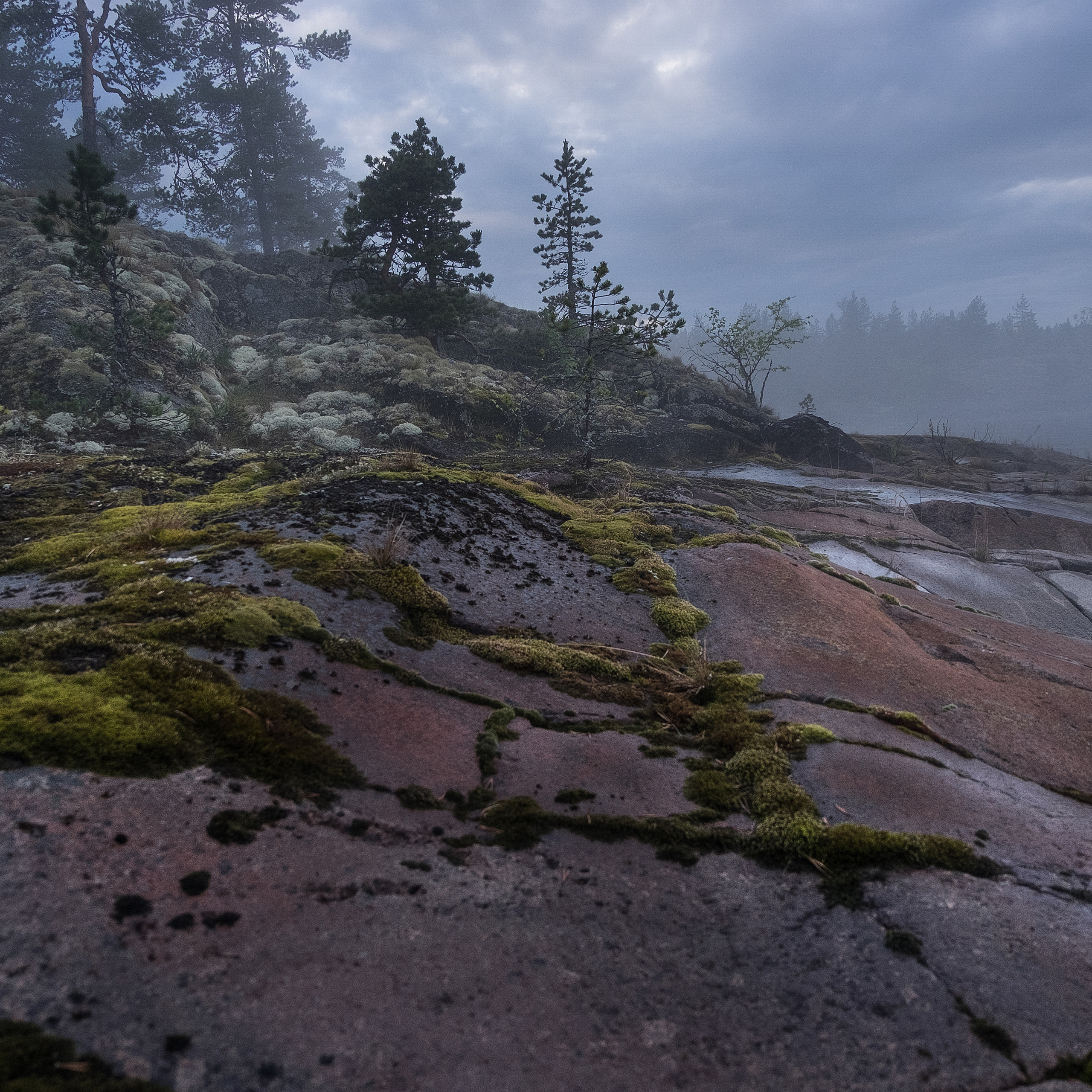 Карелия. Антон Денисенко