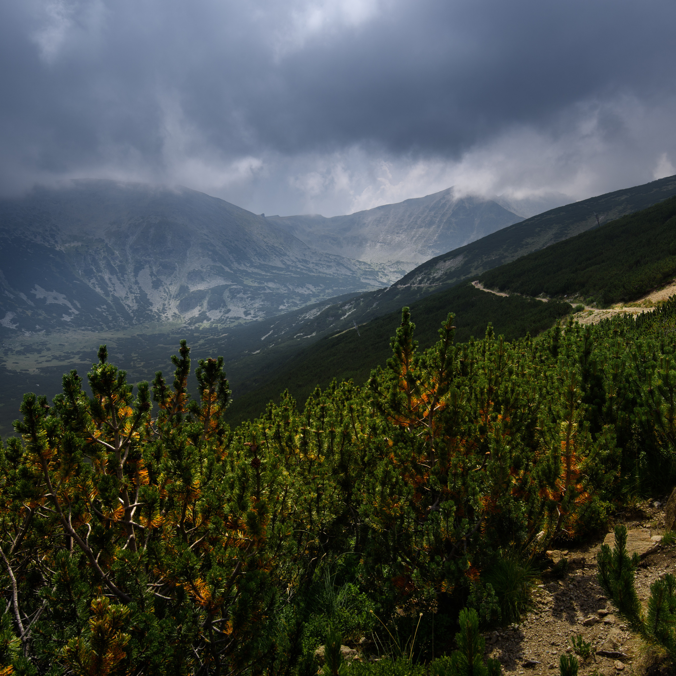 Болгария. Антон Денисенко