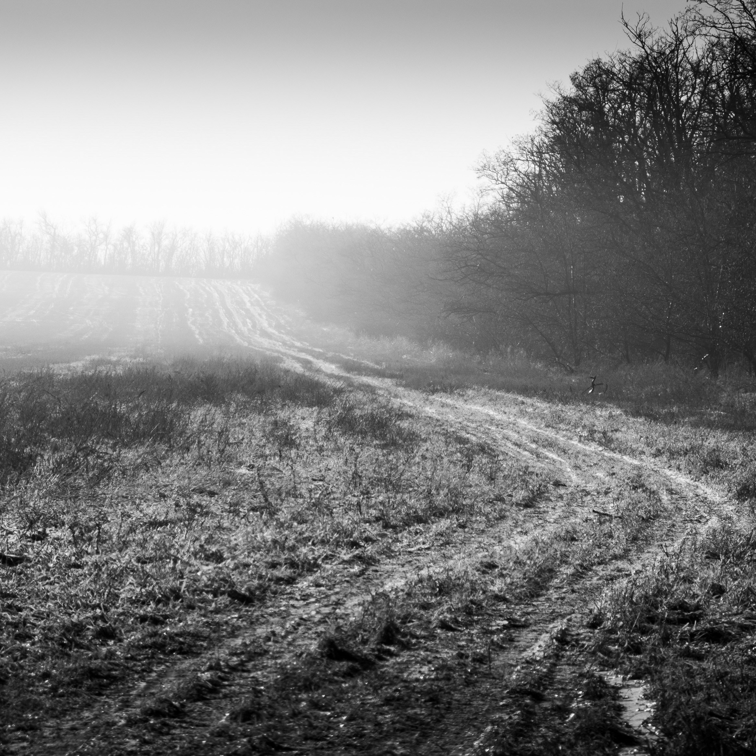 Деревня / Юг. Антон Денисенко