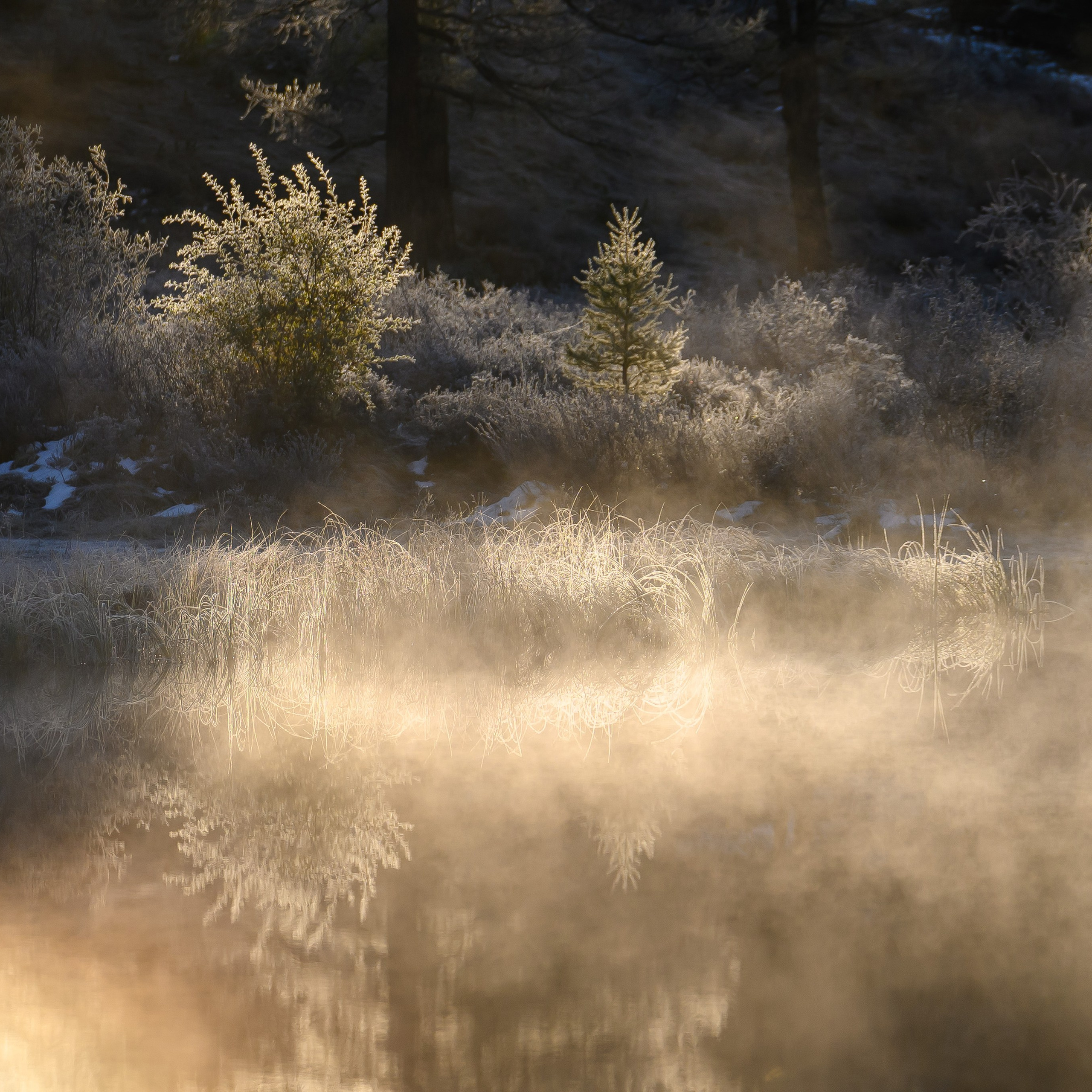 Горный Алтай. Антон Денисенко