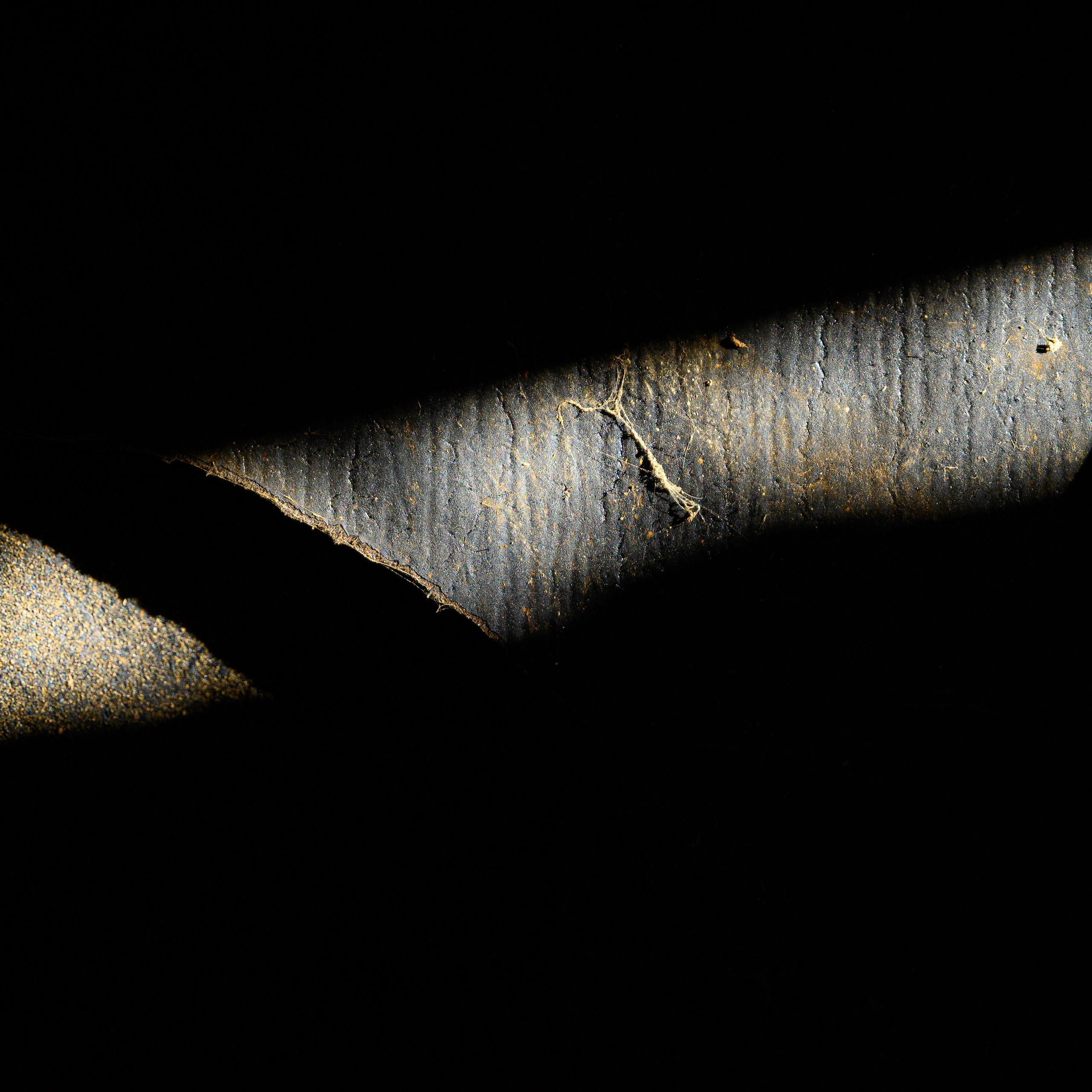 Увидеть свет. Антон Денисенко