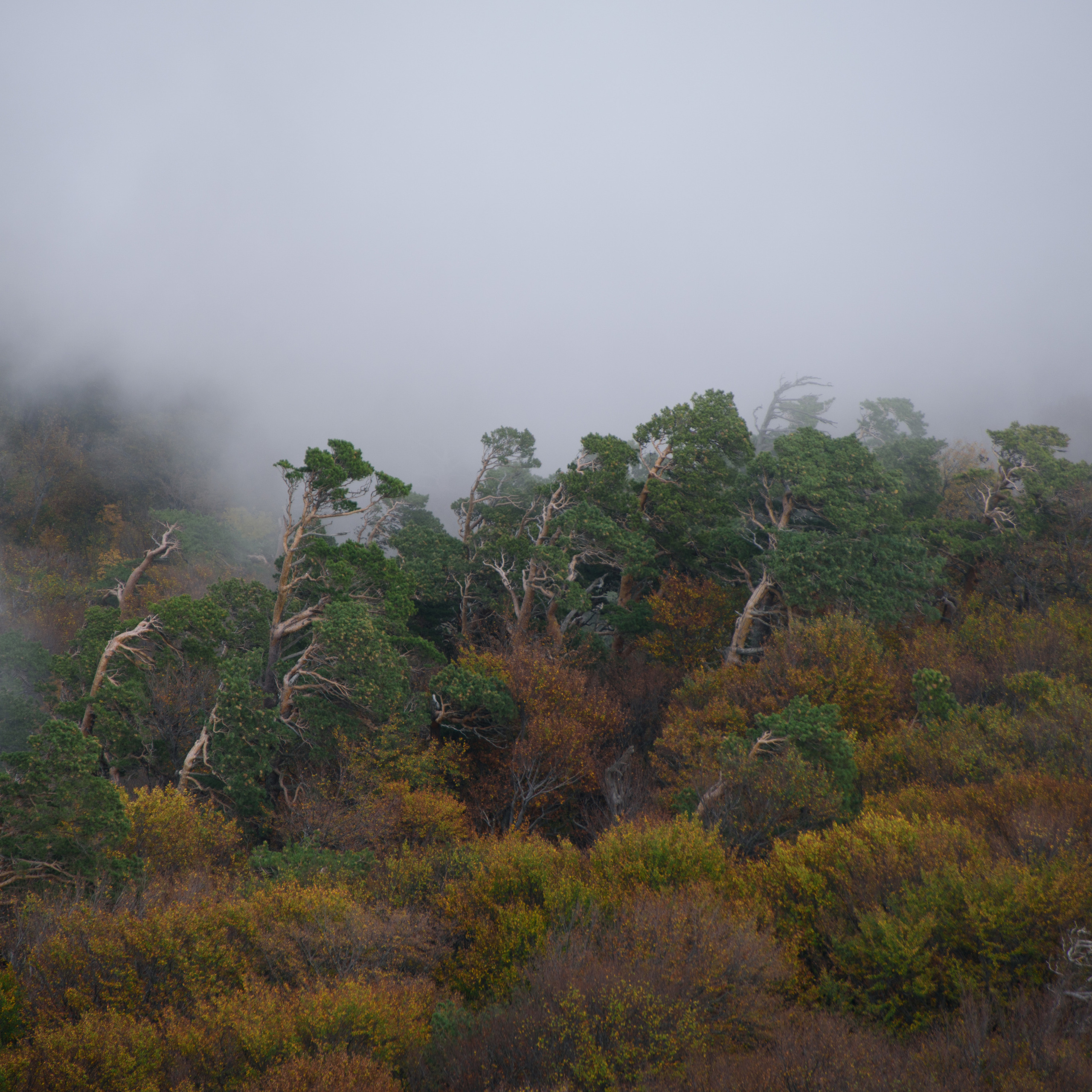 Крым. Антон Денисенко