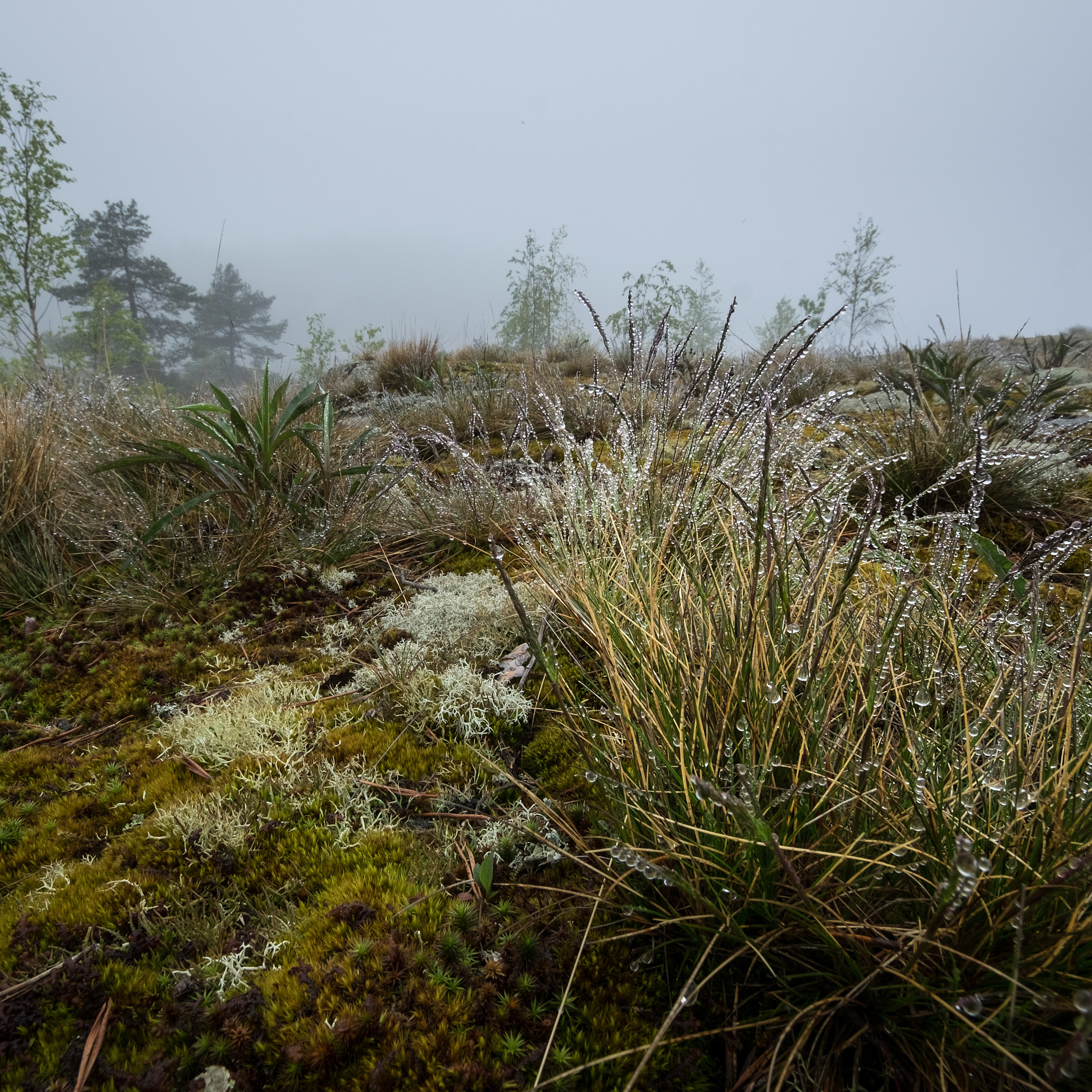 Карелия. Антон Денисенко