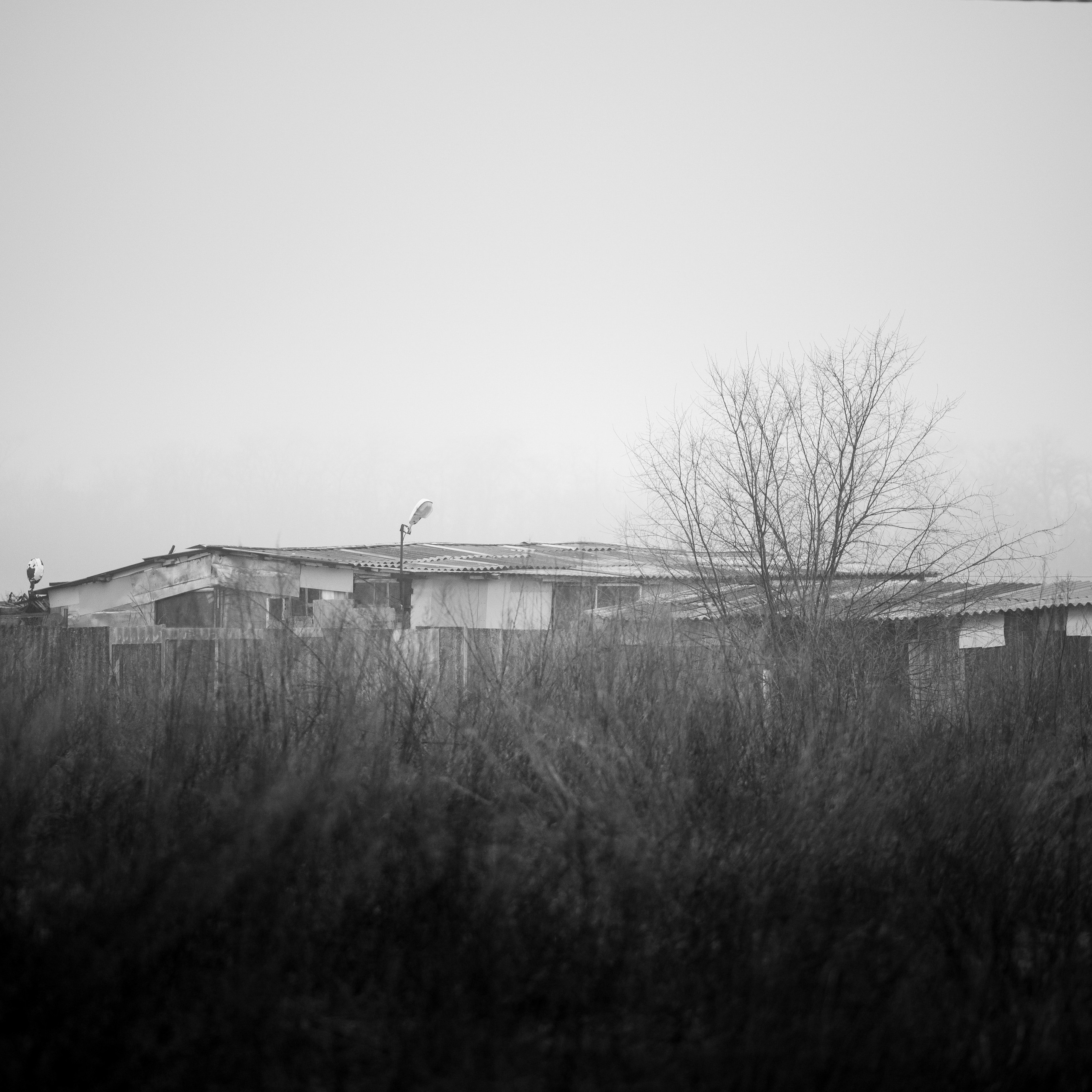 Деревня / Ферма. Антон Денисенко