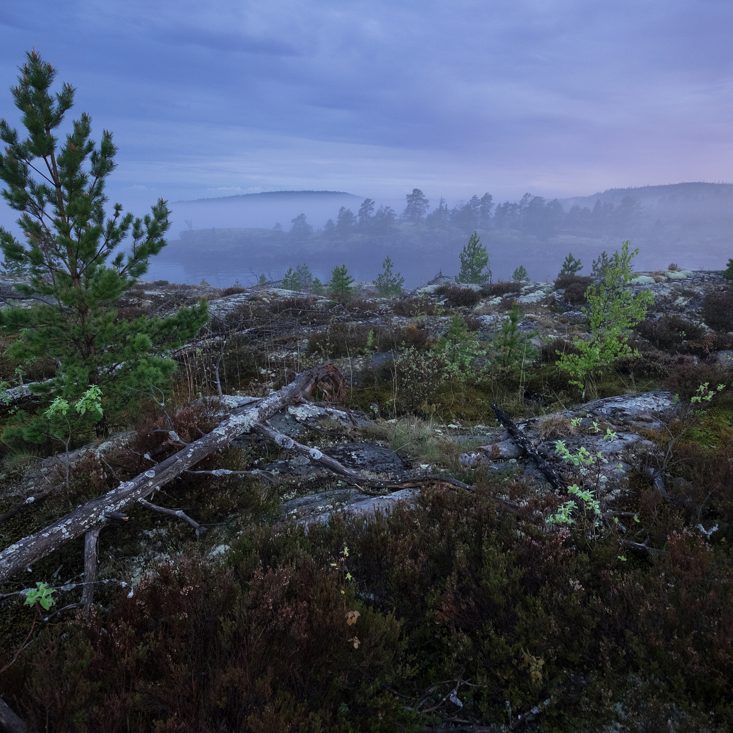 Карелия. Антон Денисенко