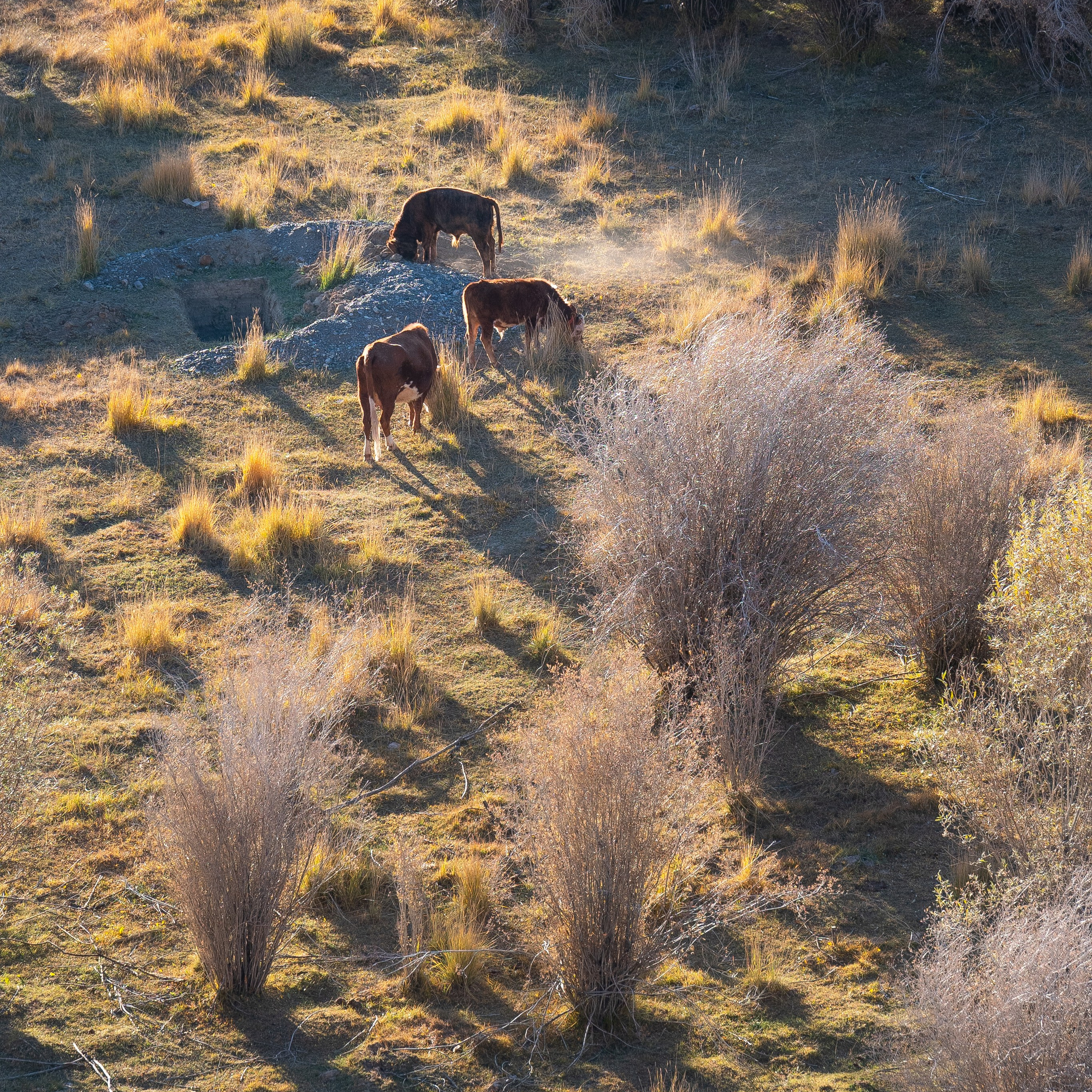 Горный Алтай. Антон Денисенко