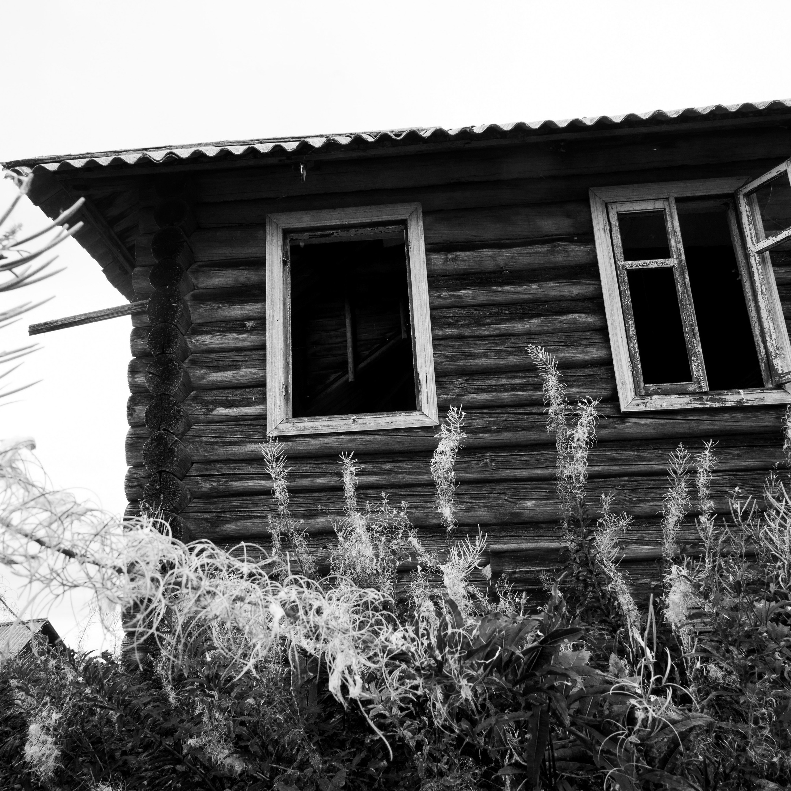 Деревня / Север II. Антон Денисенко