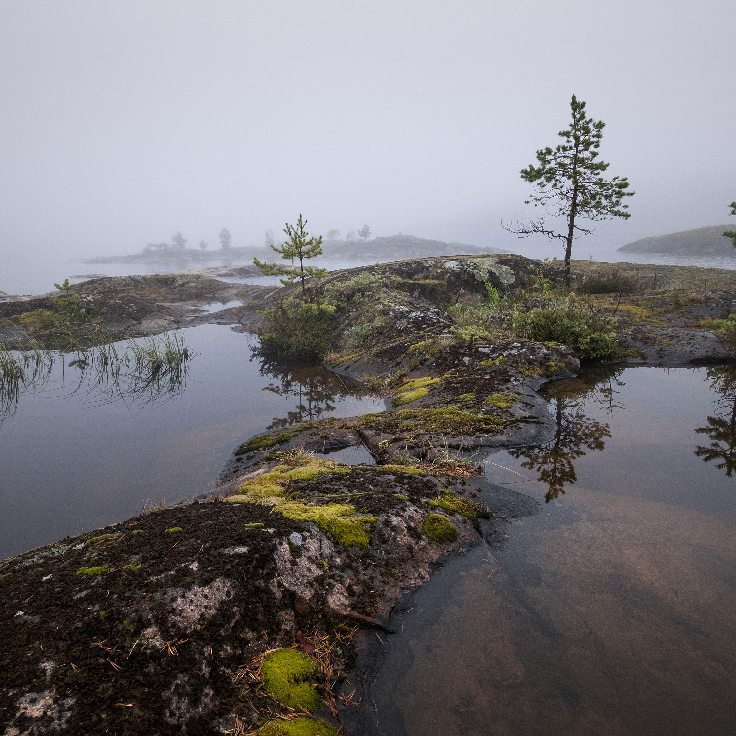 Карелия. Антон Денисенко