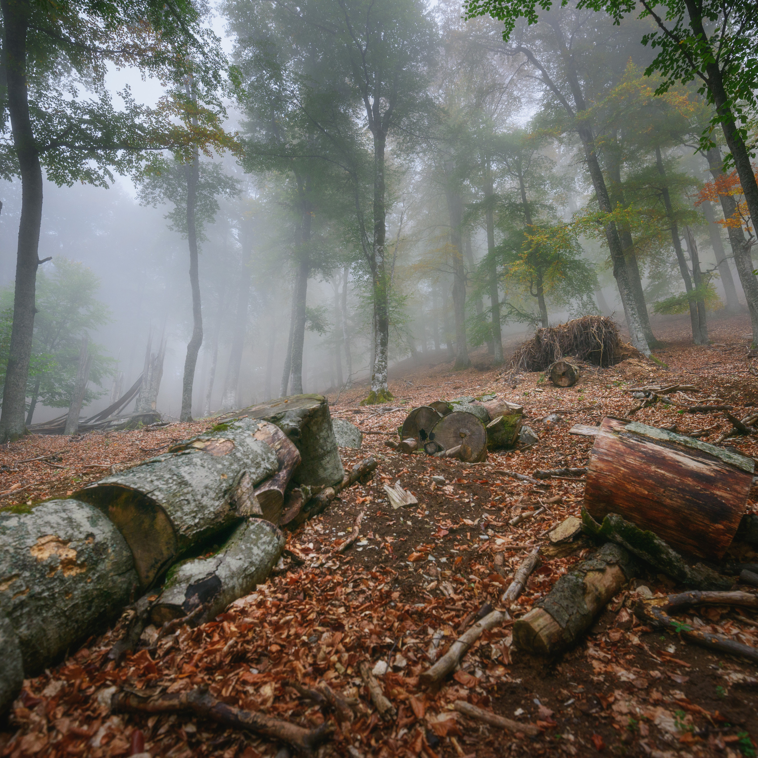 Крым. Антон Денисенко
