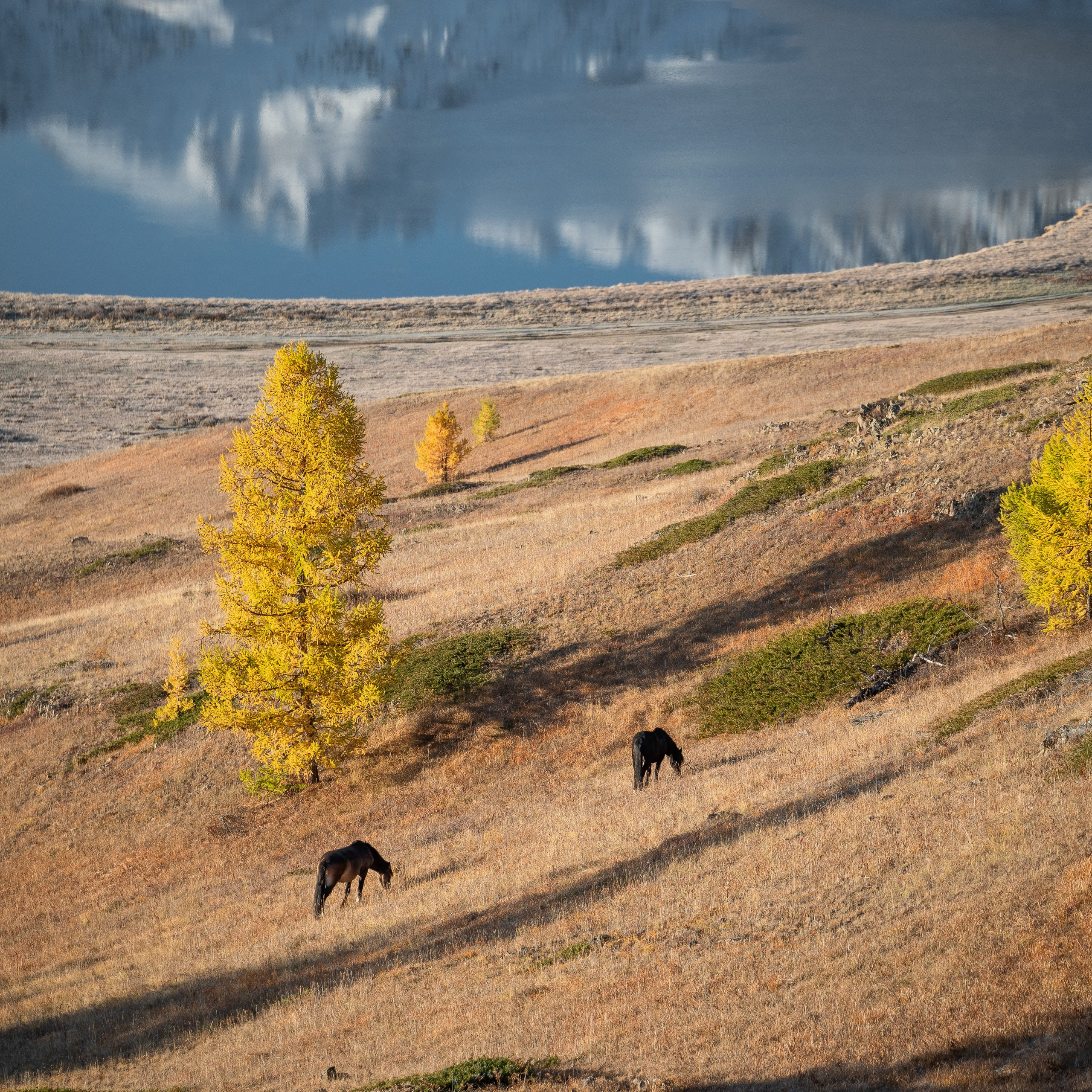 Горный Алтай. Антон Денисенко