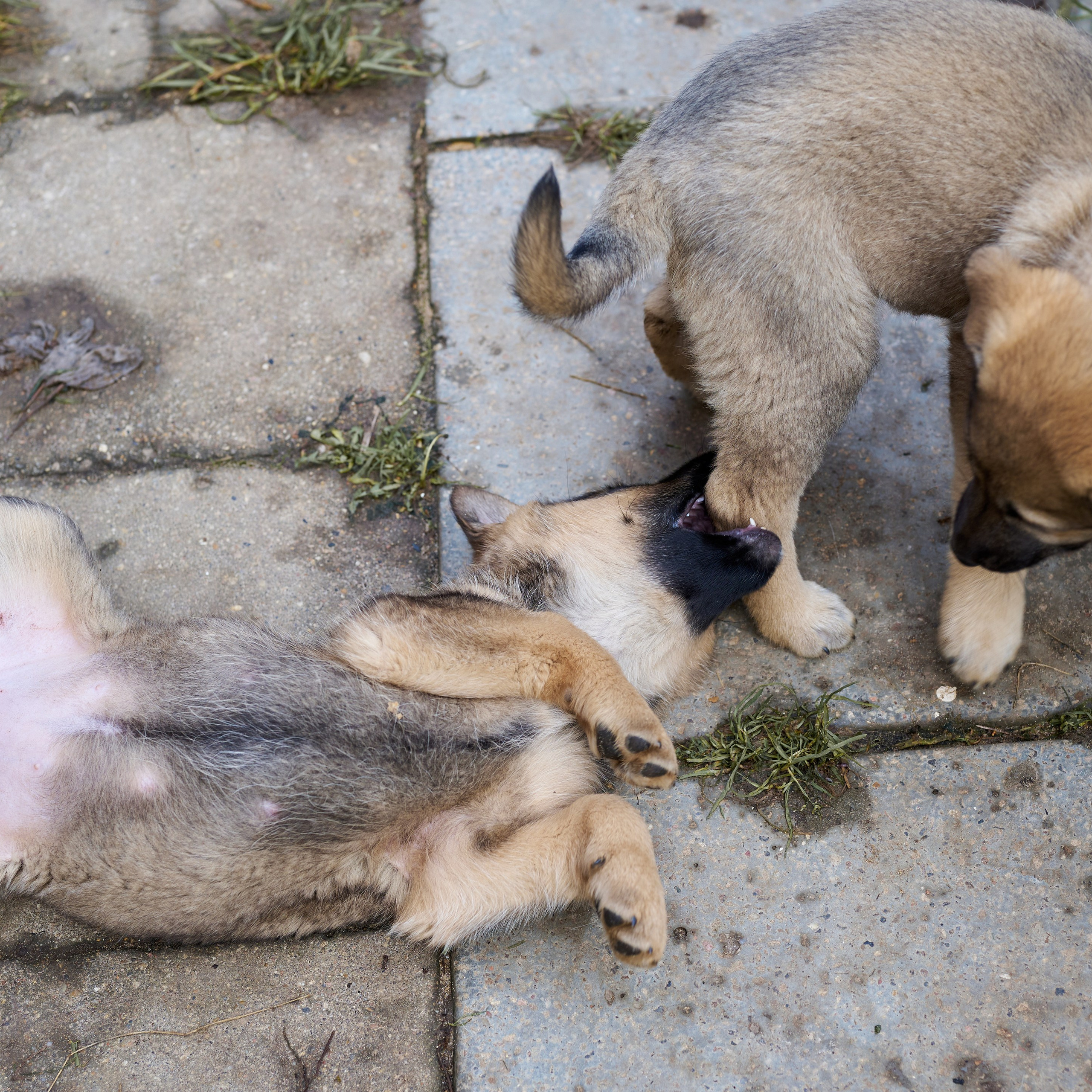 Отзывы. Анна Баженовская Женский фотограф Москва